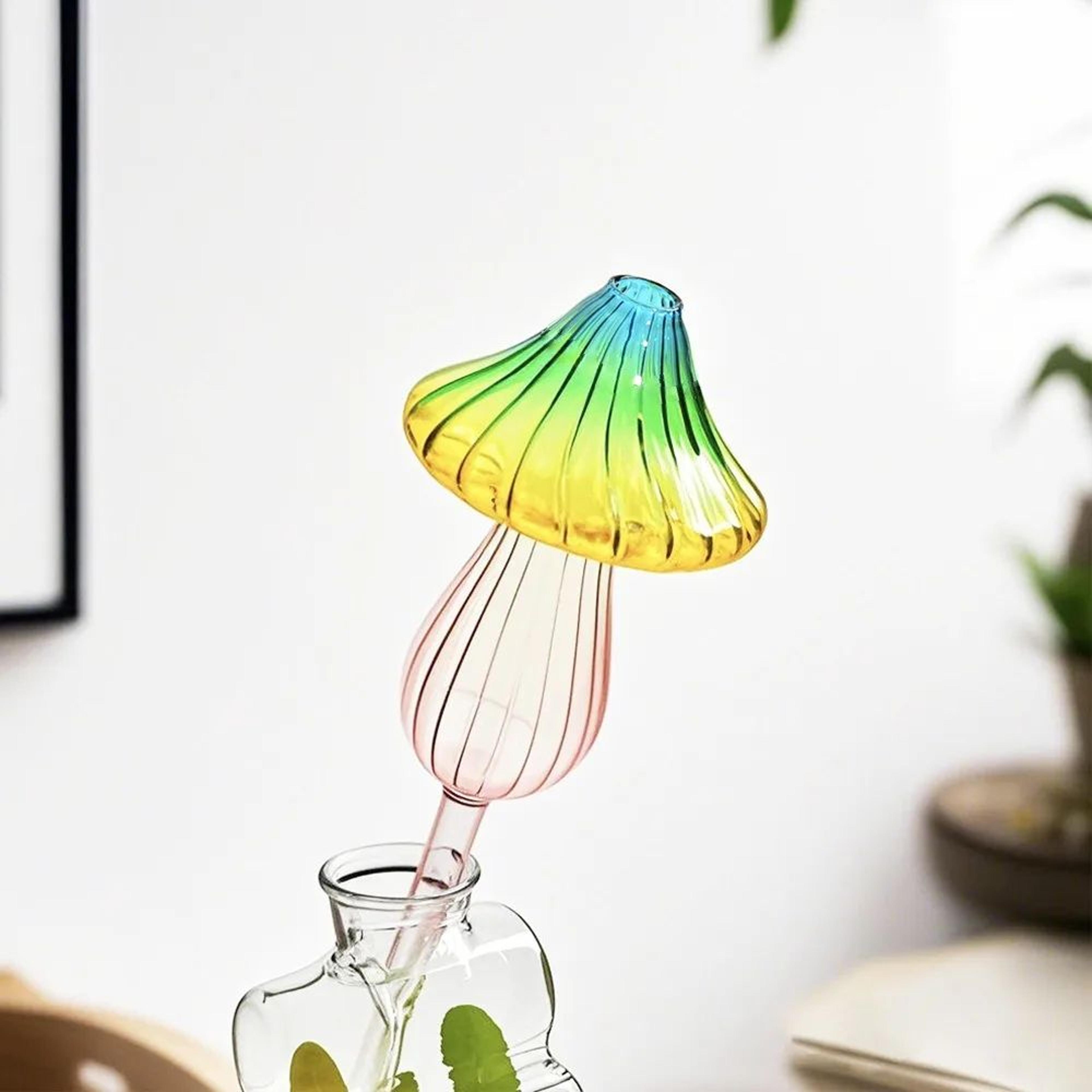 Glass Watering Globes Self Watering Spikes 12 Pack  Automatic Plant Watering Device For Houseplants 2