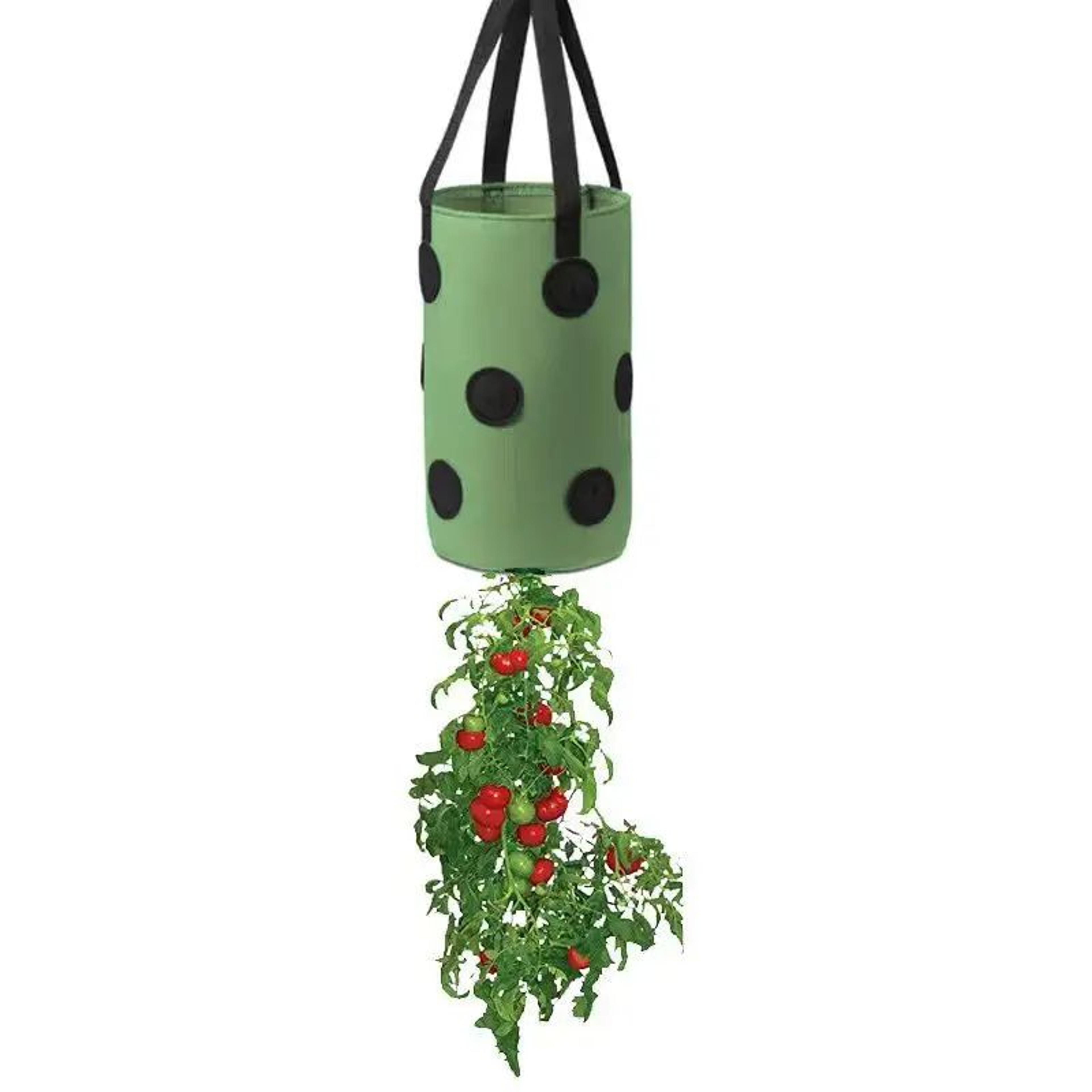 Premium Vertical Garden Hanging Grow Bag Planter  13Hole Felt Planting System 2
