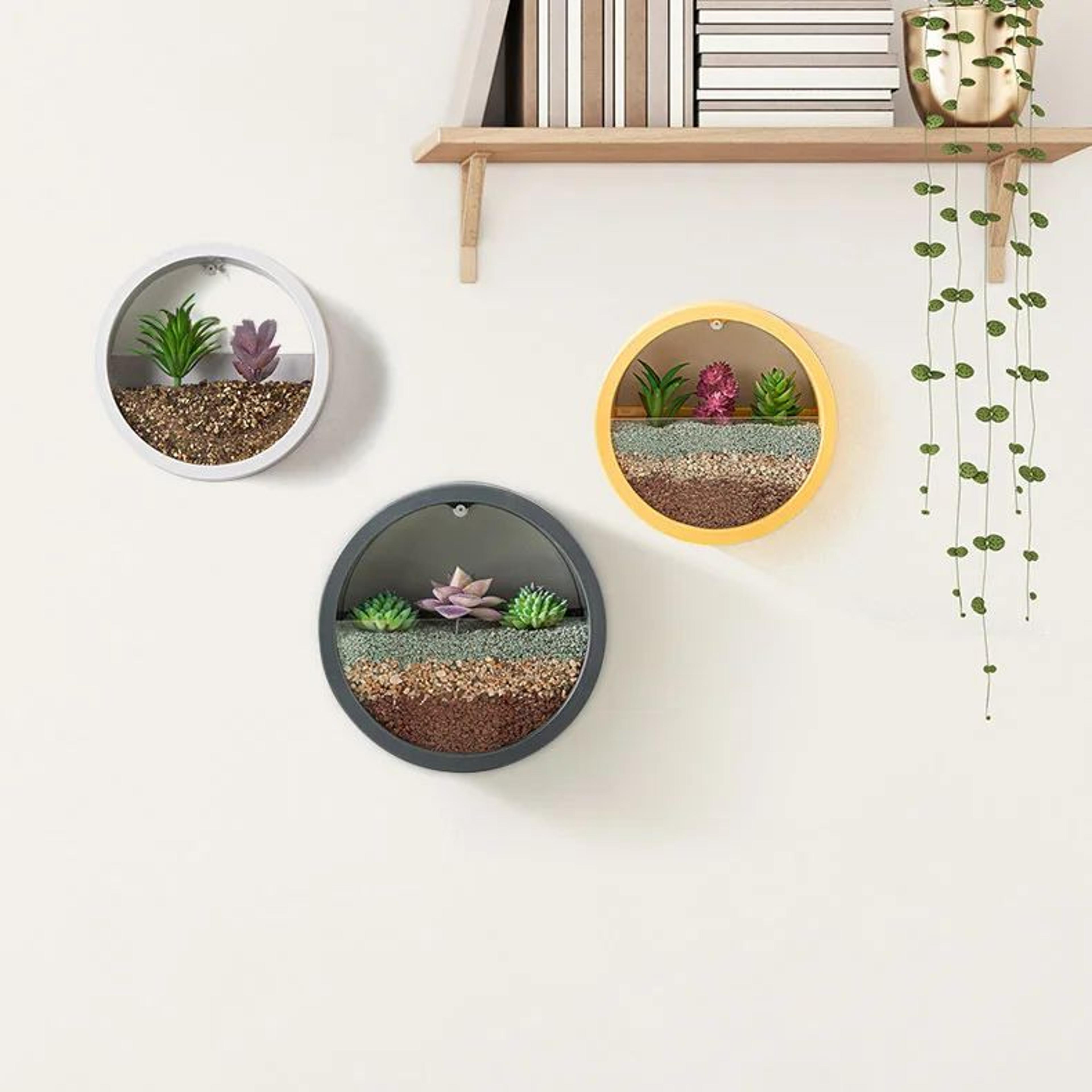 Nordic Wall Mounted Hydroponic Planter  Sleek Circular Plant Pot For Stylish Home Wall Decor 5