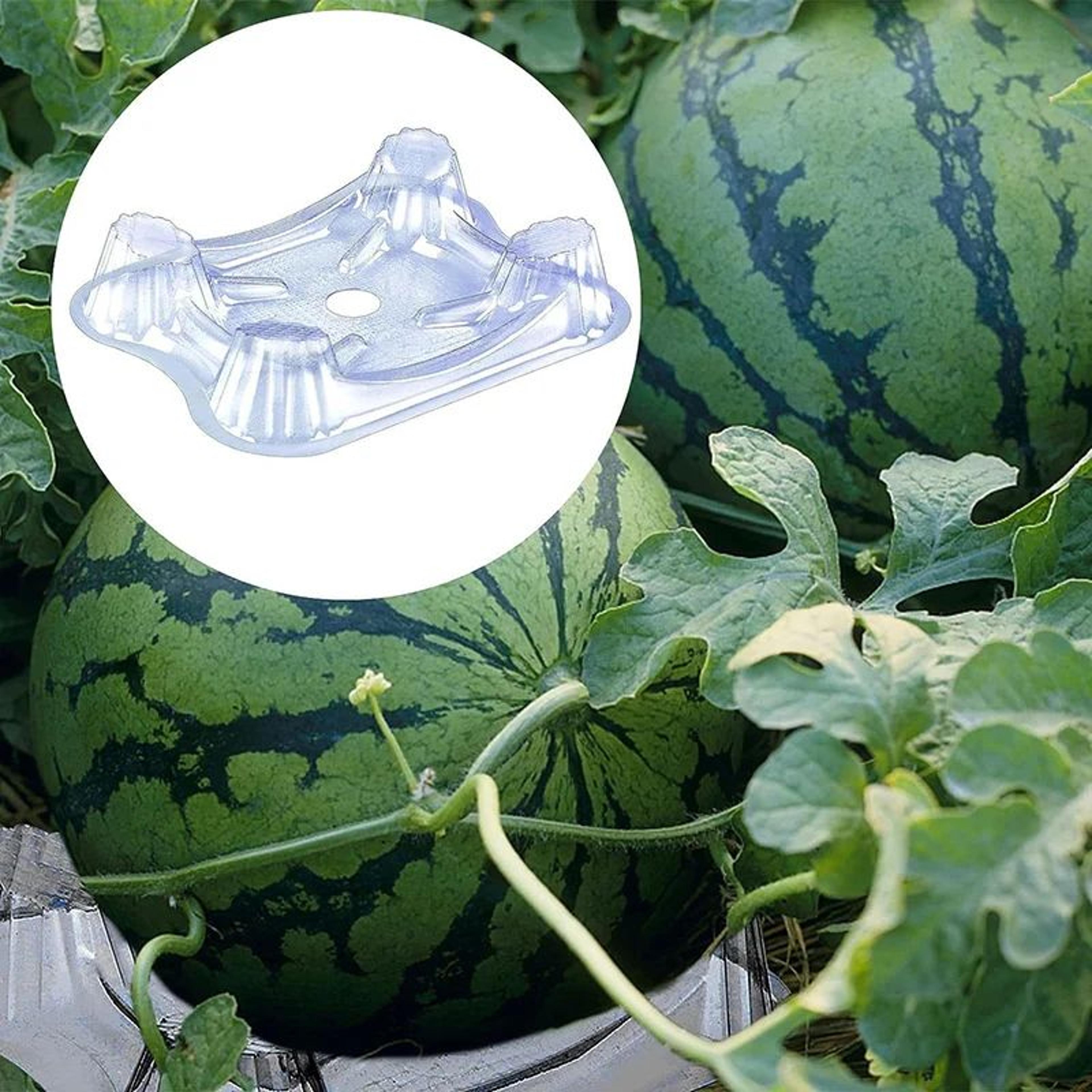 50Pack Garden Melon Cradle Supports  Watermelon Support Stand  Pumpkin Holder Set 4
