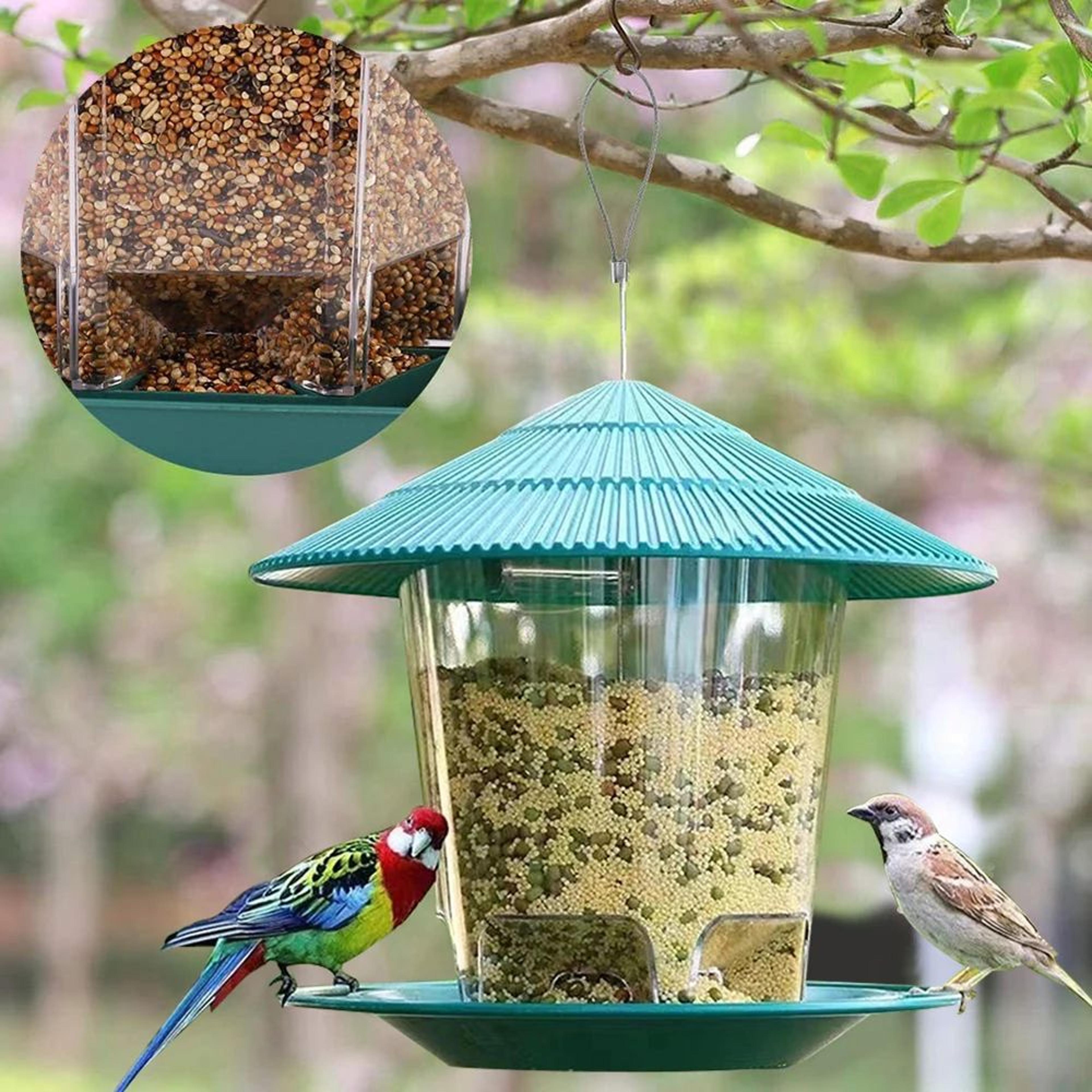 Clear Window Bird Feeder House  Hanging Wild Bird Feeding Station For Seeds Nuts  Peanuts 1
