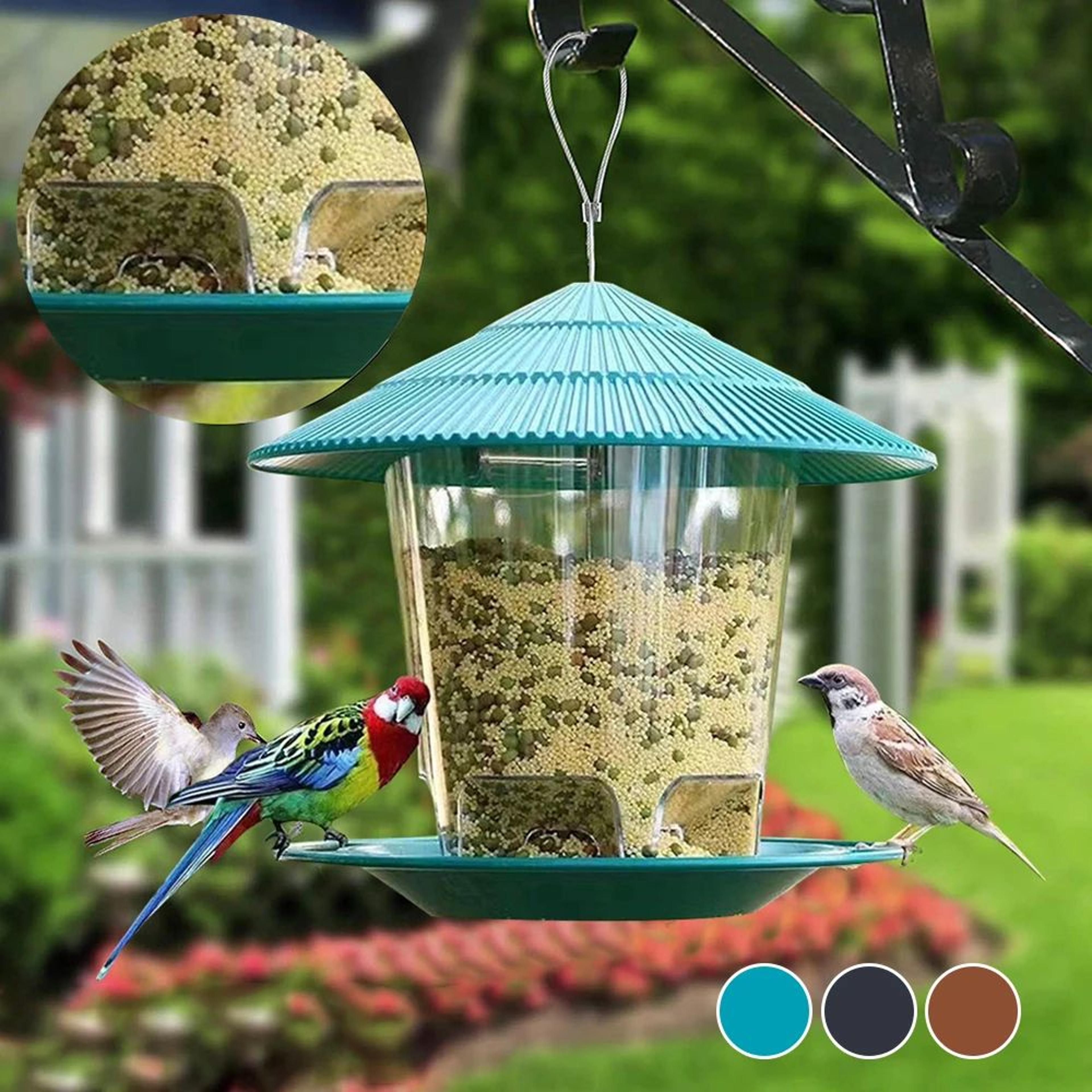 Clear Window Bird Feeder House  Hanging Wild Bird Feeding Station For Seeds Nuts  Peanuts 2