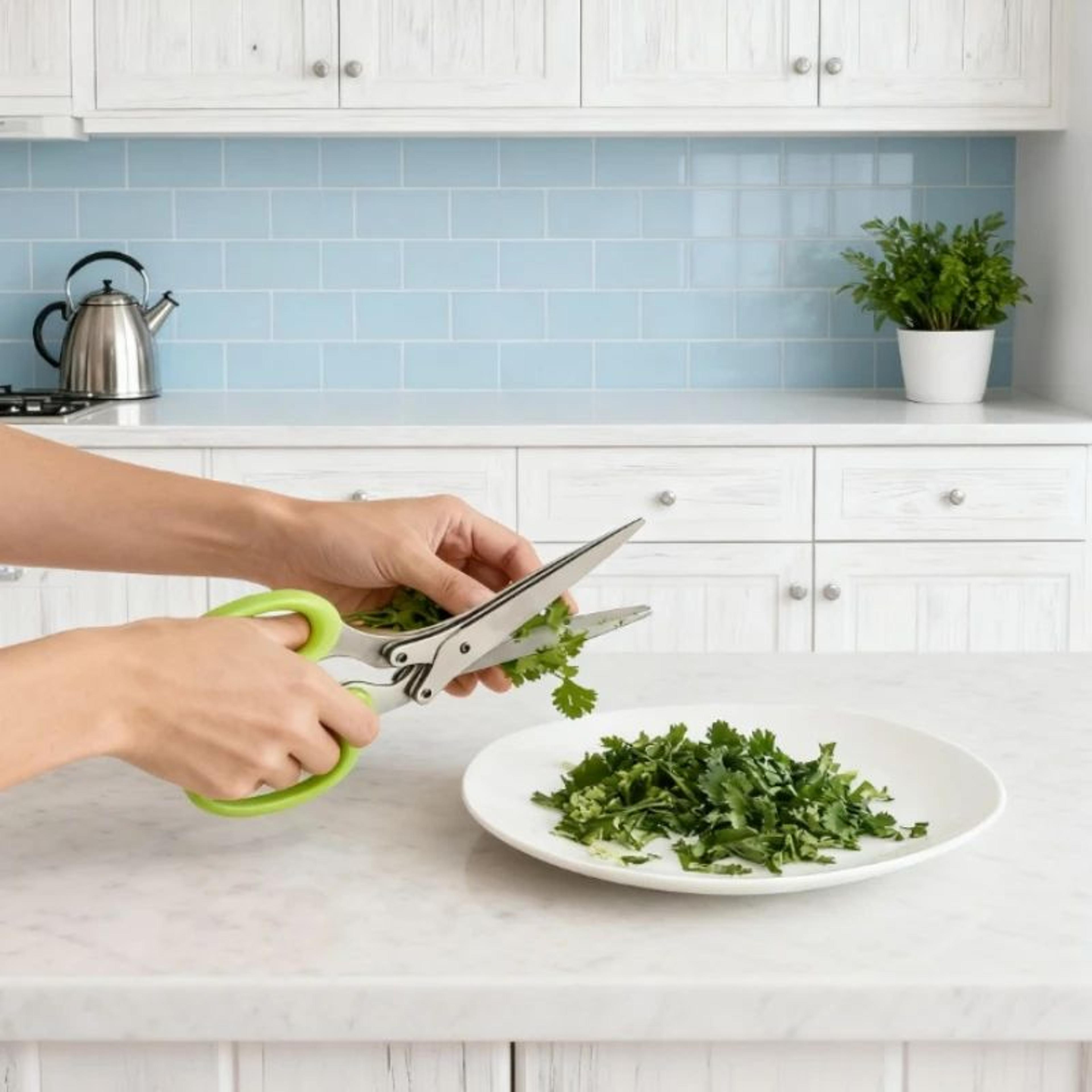5Blade Herb Shredder Kitchen Scissors  Forged Stainless Steel Multipurpose Shears 0