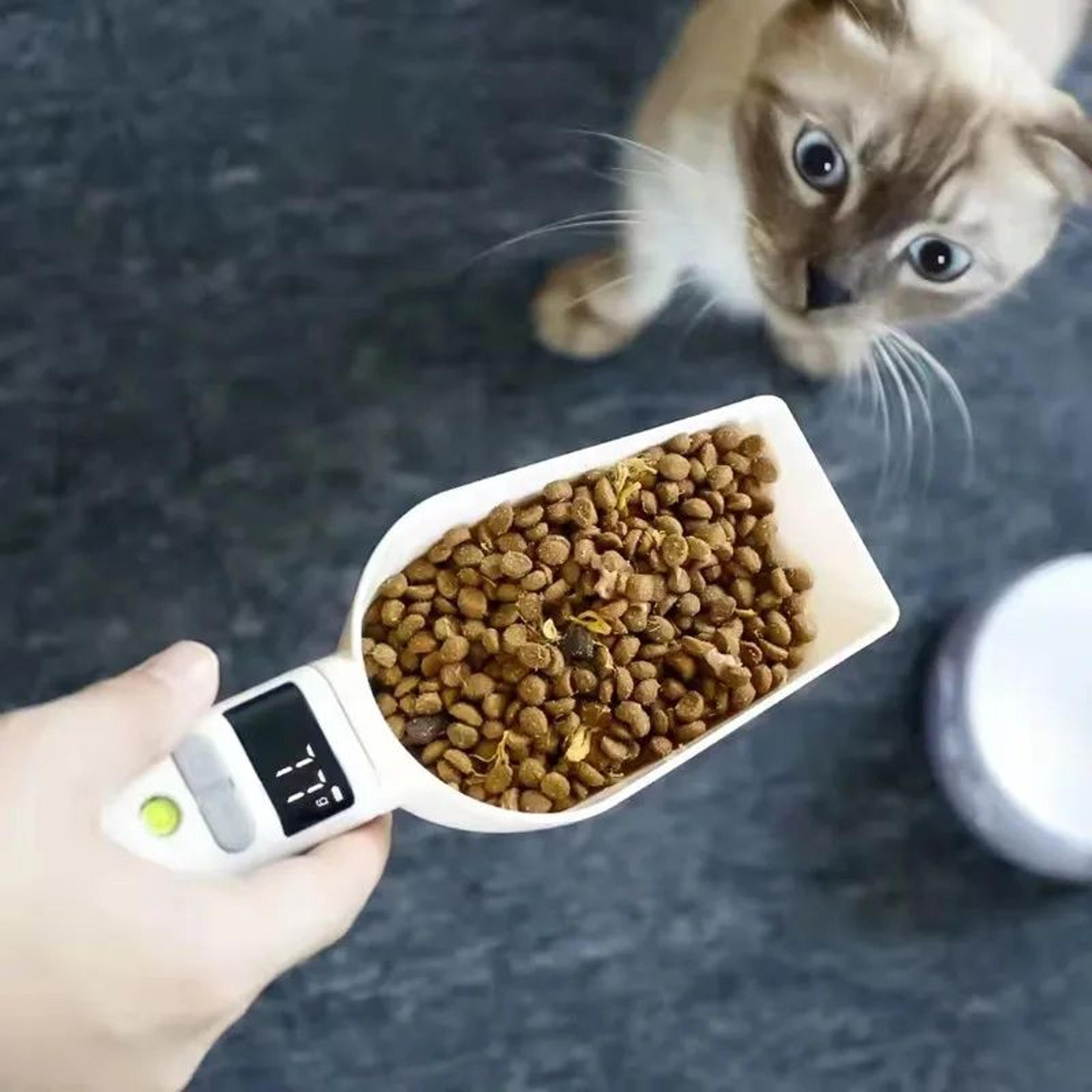 SmartMeasure 800g Digital Kitchen Scale Spoon For Precise Pet  Home Portioning 1