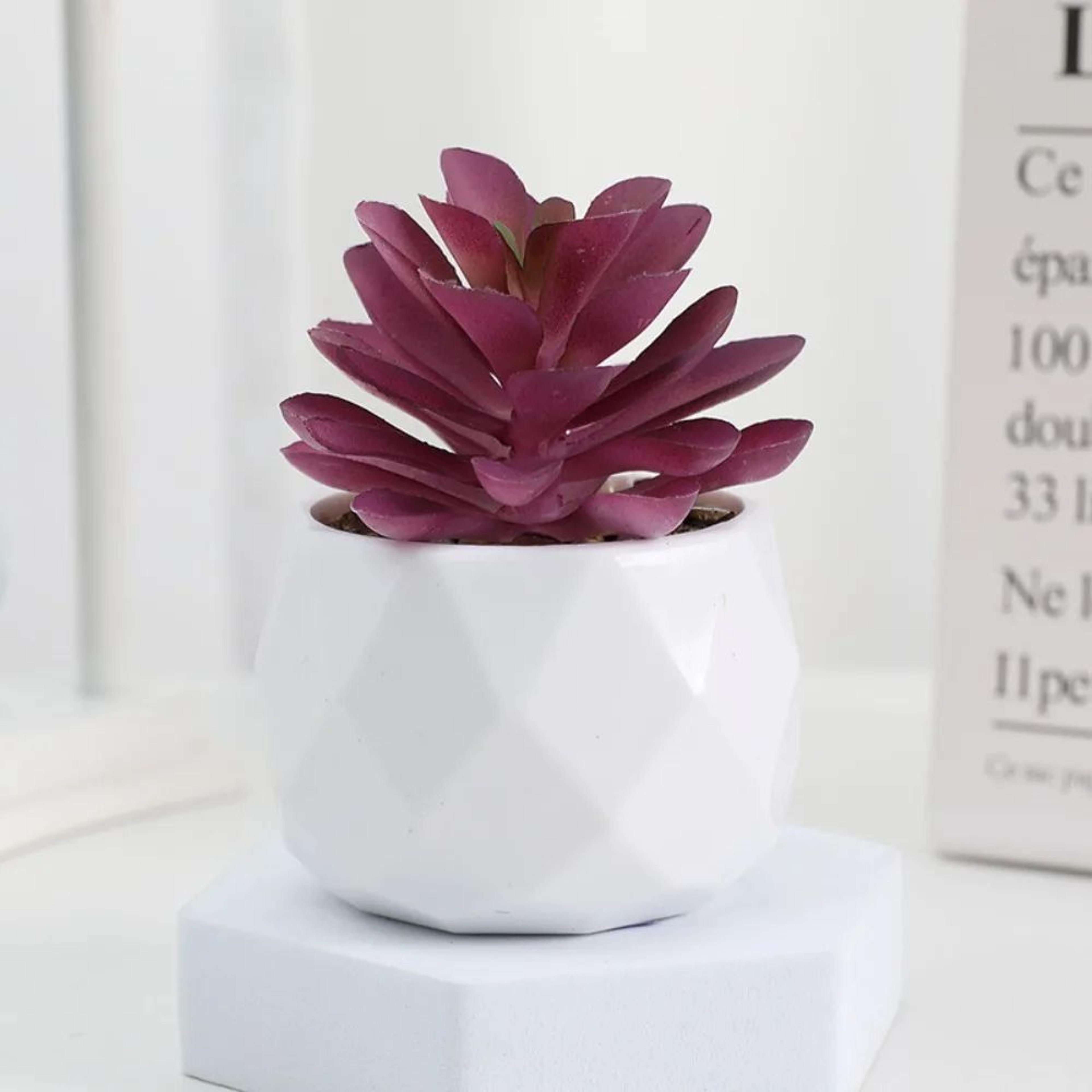 Evergreen Mini Artificial Succulent Bonsai  Realistic Fake Cactus Plant For Desk  Home Decor 15
