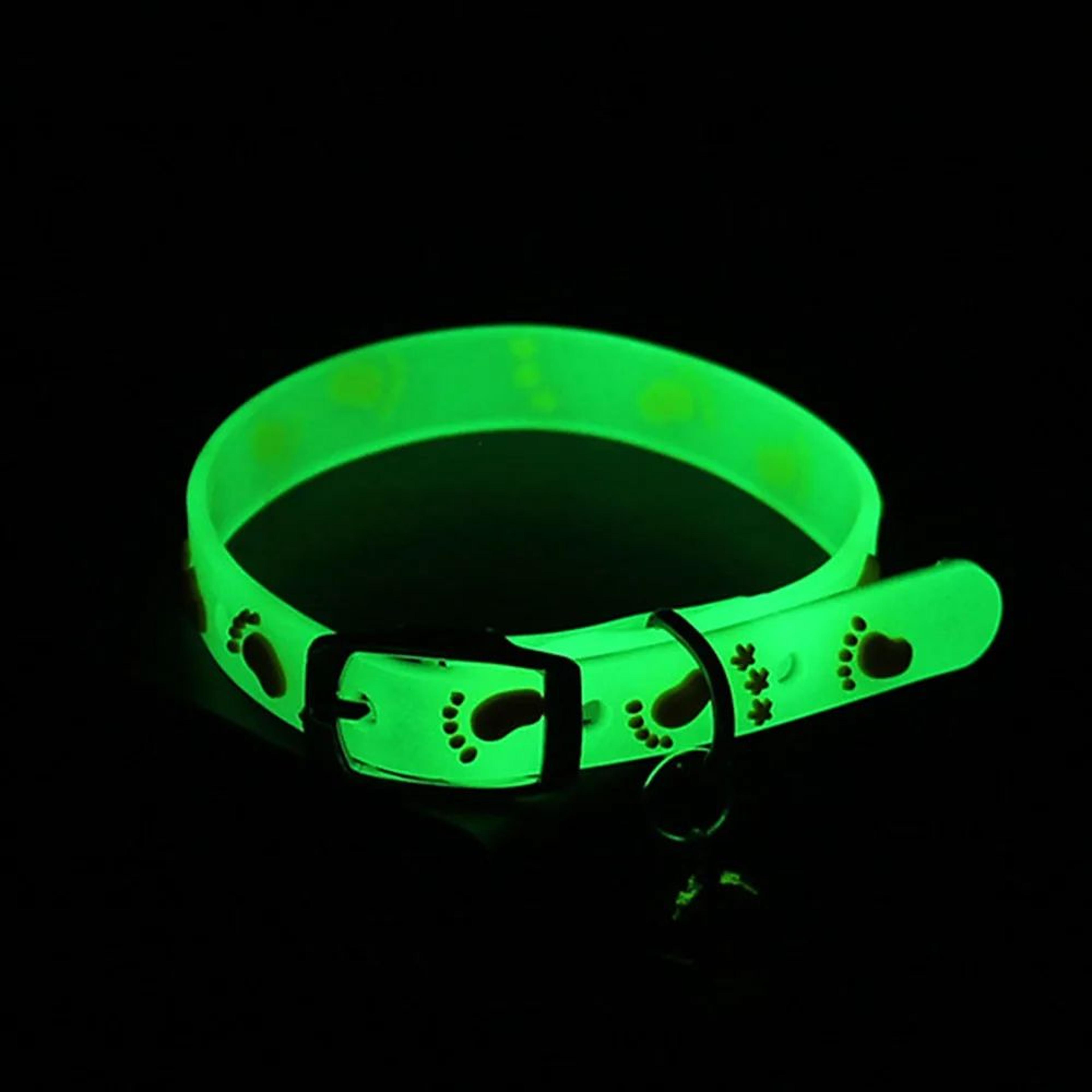 GlowSafe Cat Bell Collar  Glow In The Dark Cat Collar For Cats  Small Dogs 1