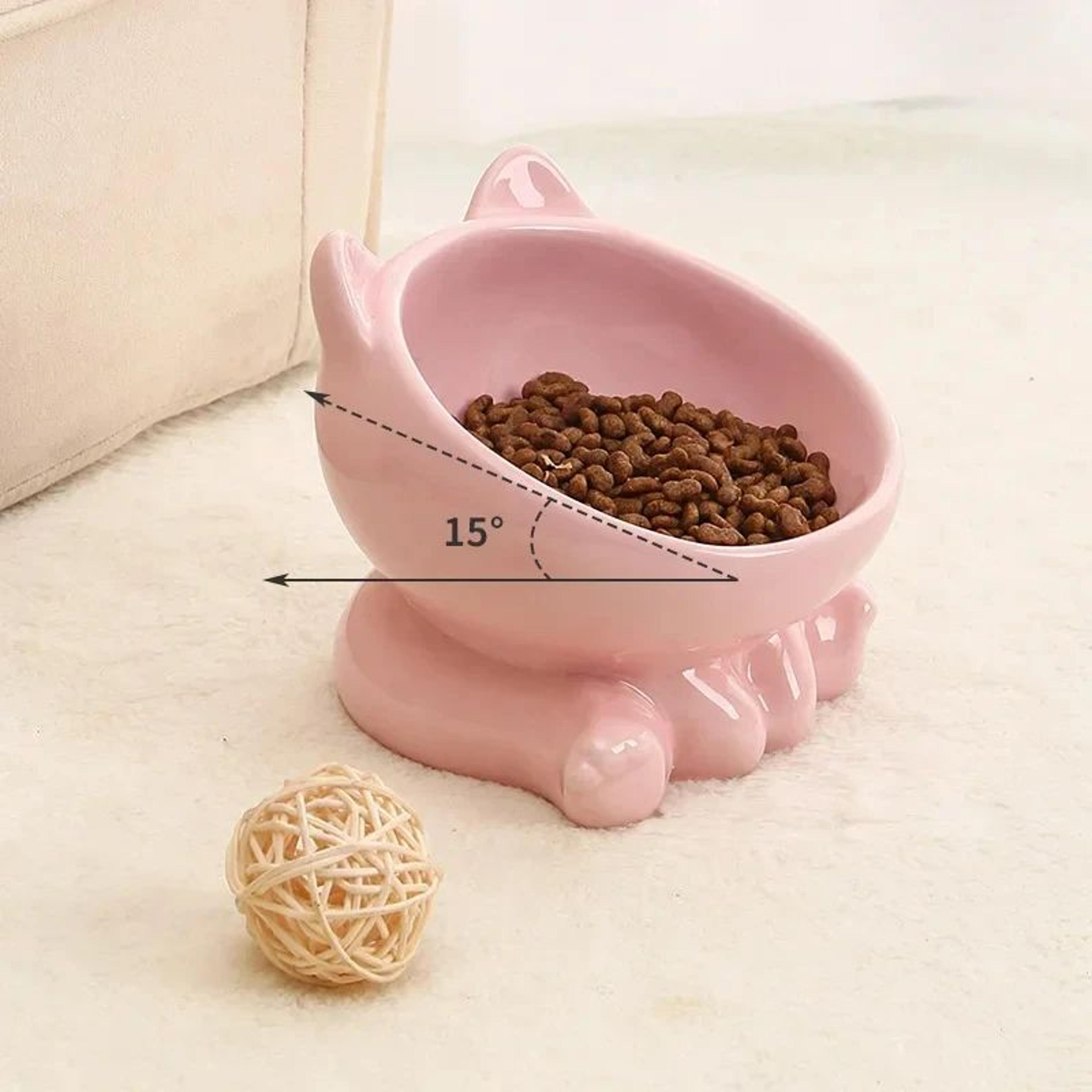PurrLift Elevated Ceramic Cat Bowl For Food  Water 5