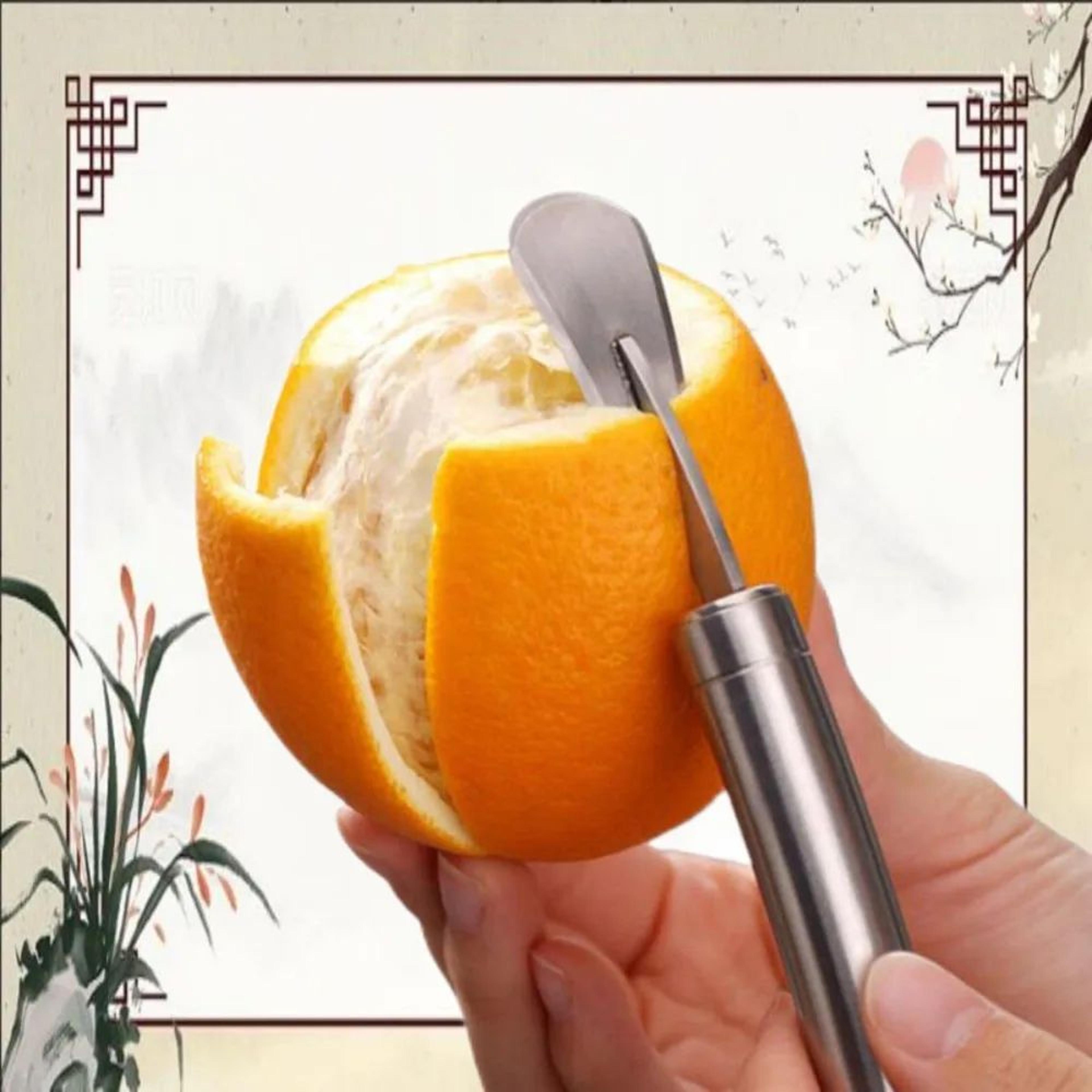 stainless steel orange peeler tool with ergonomic citrus cutter design