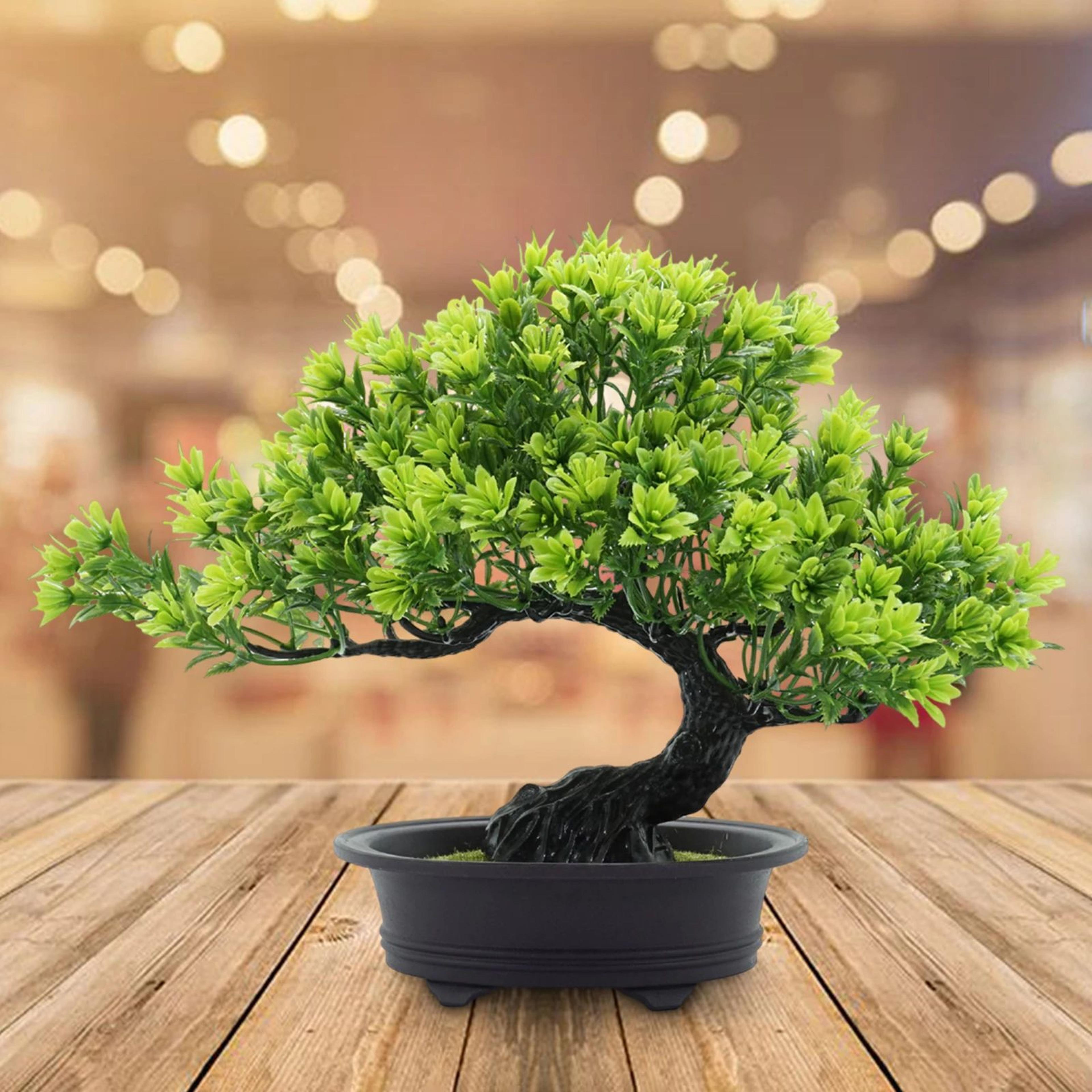 ZenLife Artificial Bonsai Tree  Realistic Fake Bonsai Tree For Desk Office  Home Decor 1