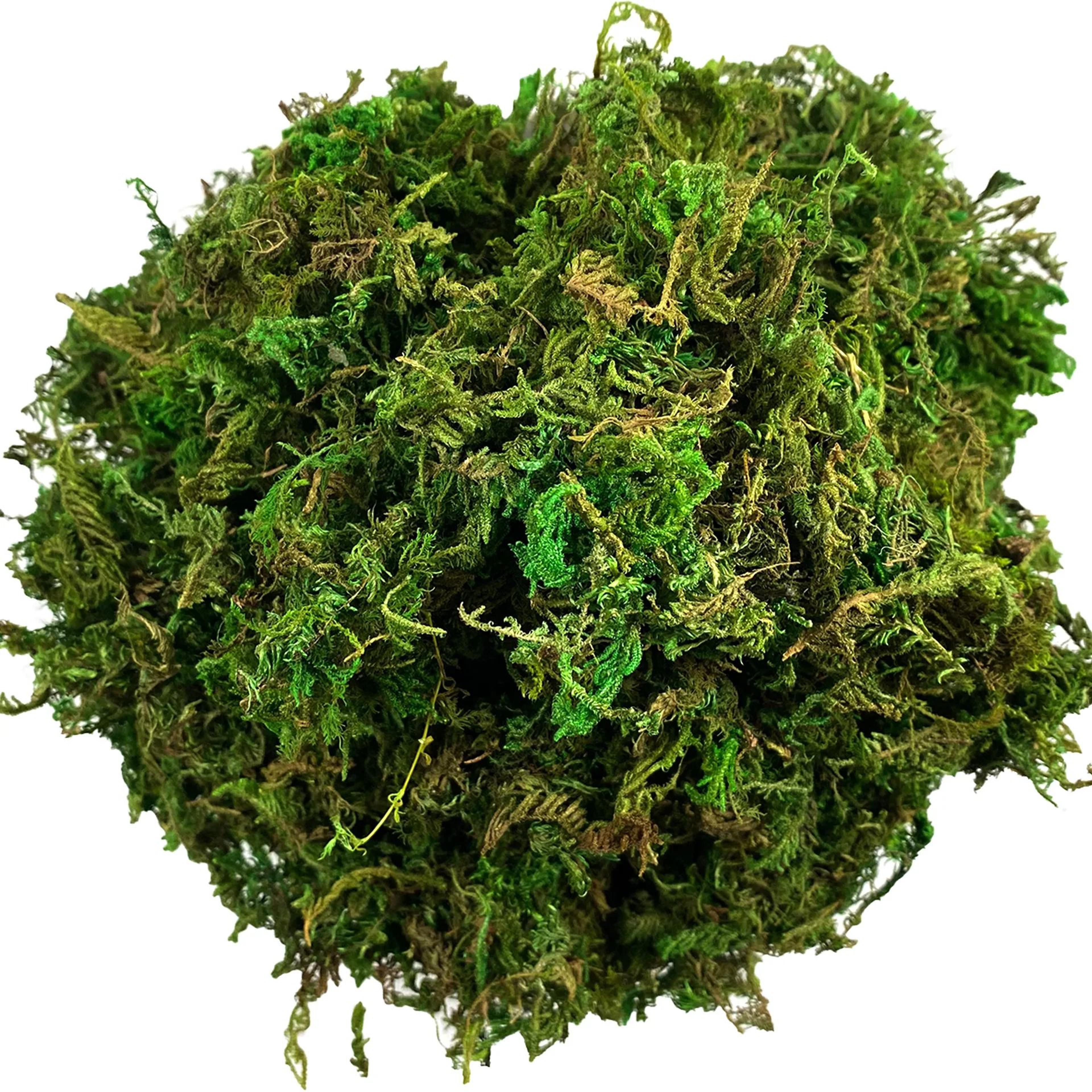 artificial moss green filler for orchids & potted plants – decorative moss for plants & craft use