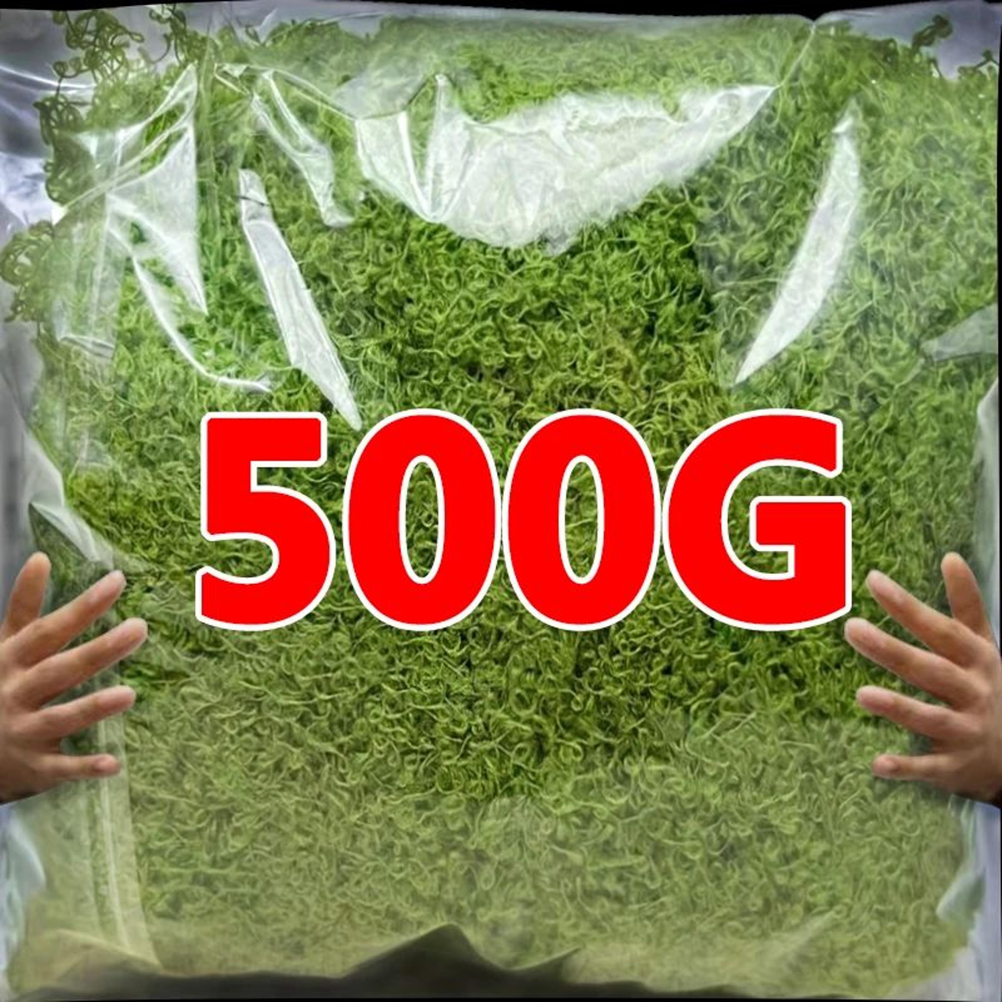 evergreen mini landscape artificial moss grass for diy decor & crafts