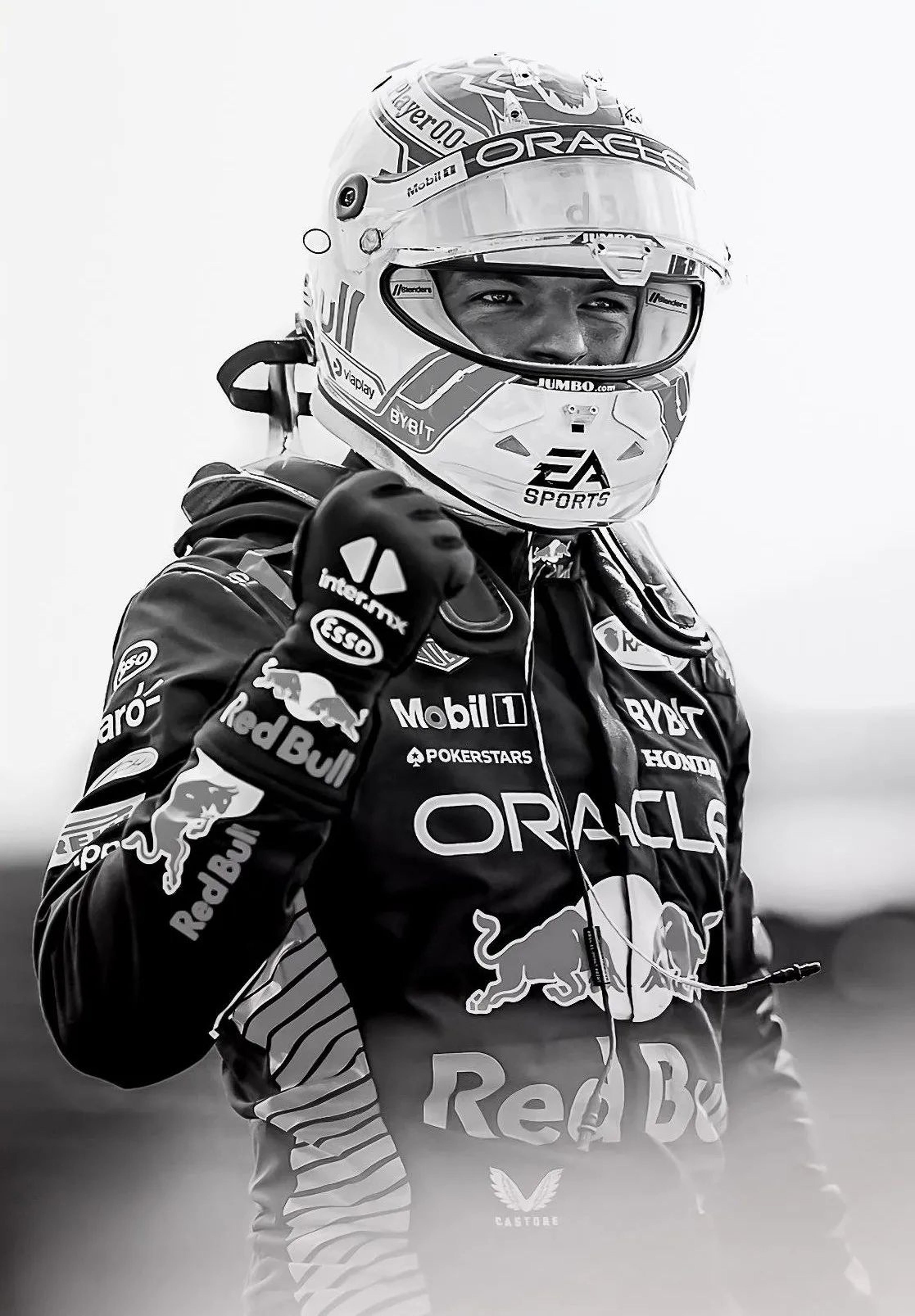 F1 Monaco Poster  Max Verstappen Formula 1 Canvas Print Racing Wall Decor 6