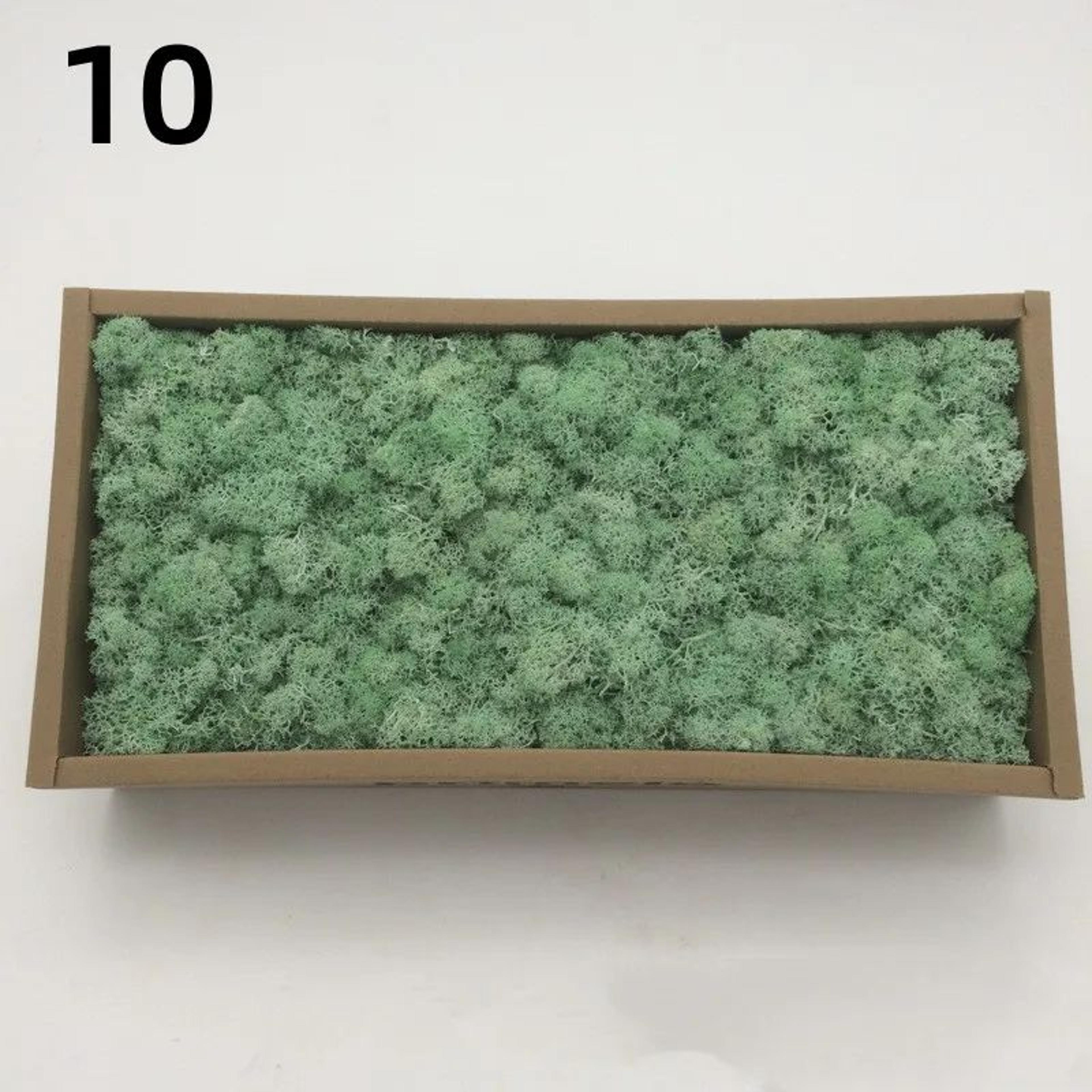 Artificial Moss Mini Landscape Decor  Realistic Fake Greenery For DIY Crafts  Home Garden Decoratio 15