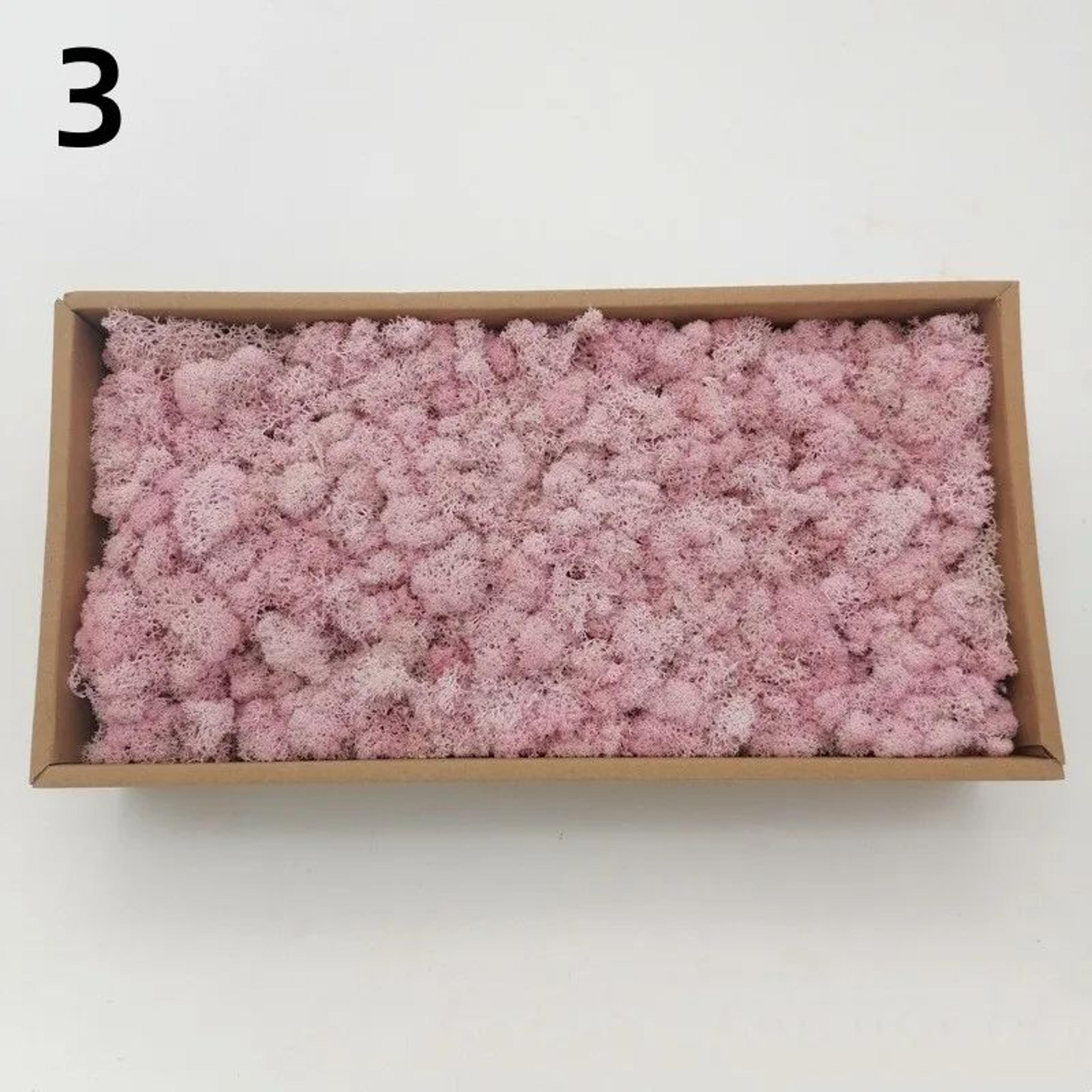Artificial Moss Mini Landscape Decor  Realistic Fake Greenery For DIY Crafts  Home Garden Decoratio 8