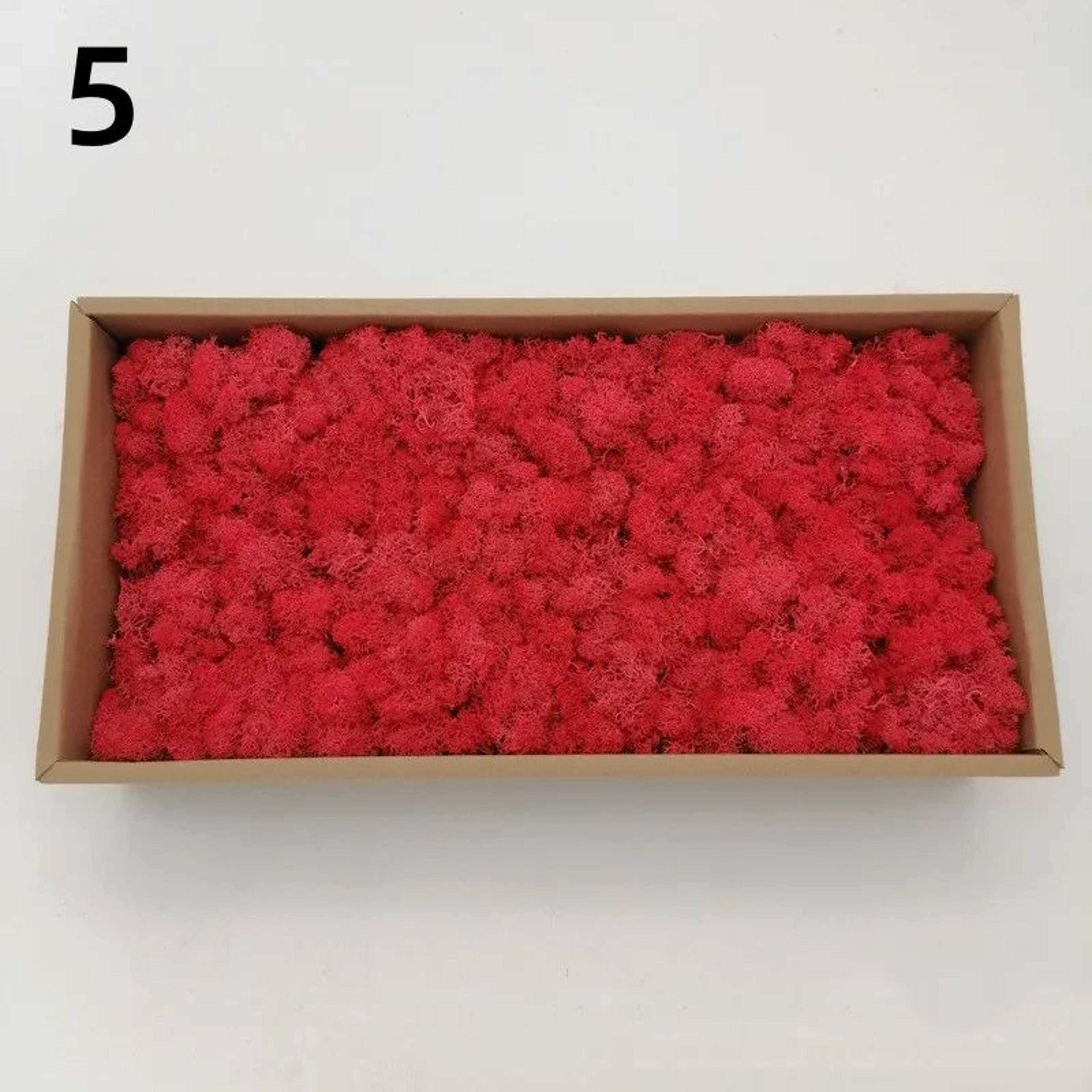 Artificial Moss Mini Landscape Decor  Realistic Fake Greenery For DIY Crafts  Home Garden Decoratio 10