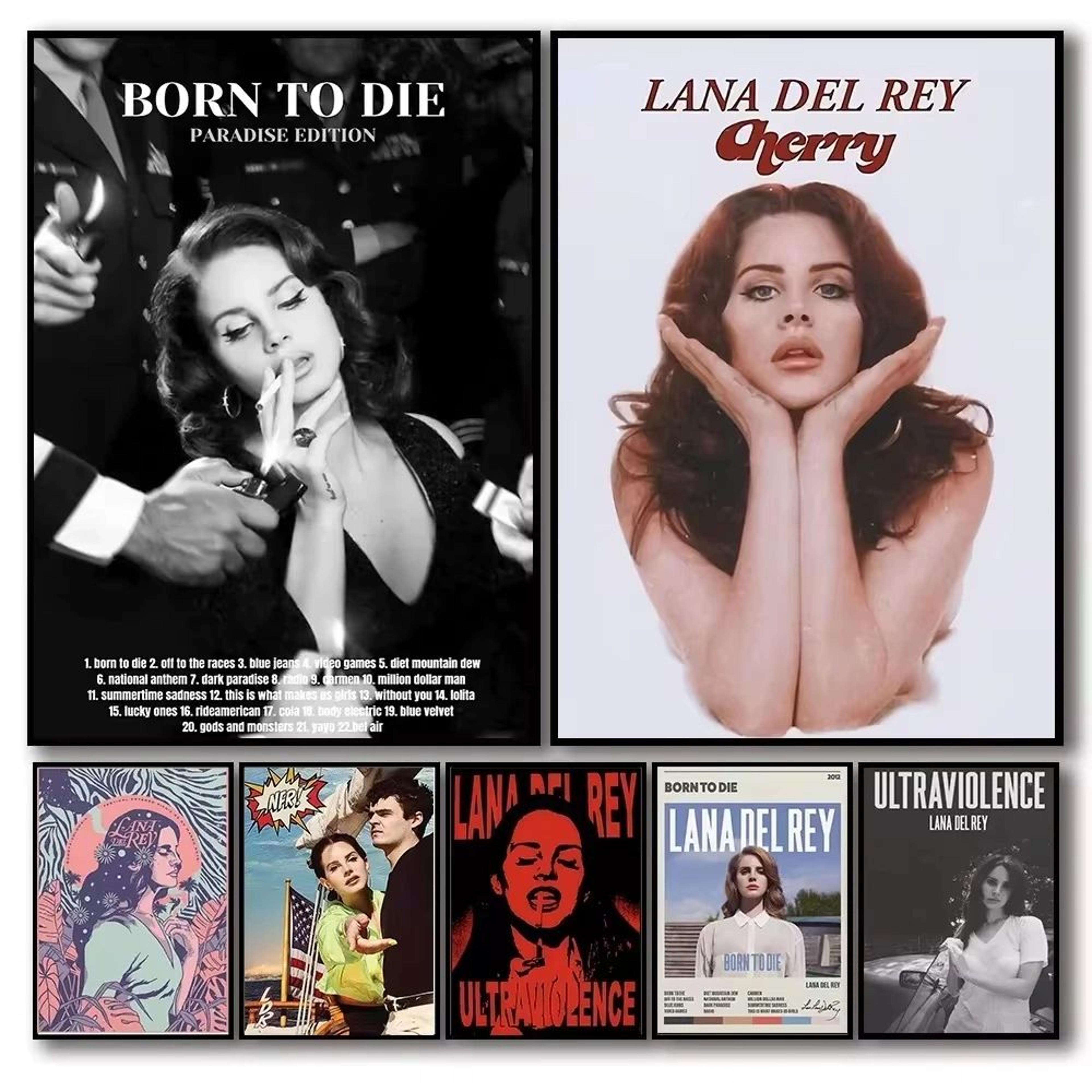 lana del rey canvas wall art poster for aesthetic bedroom decor