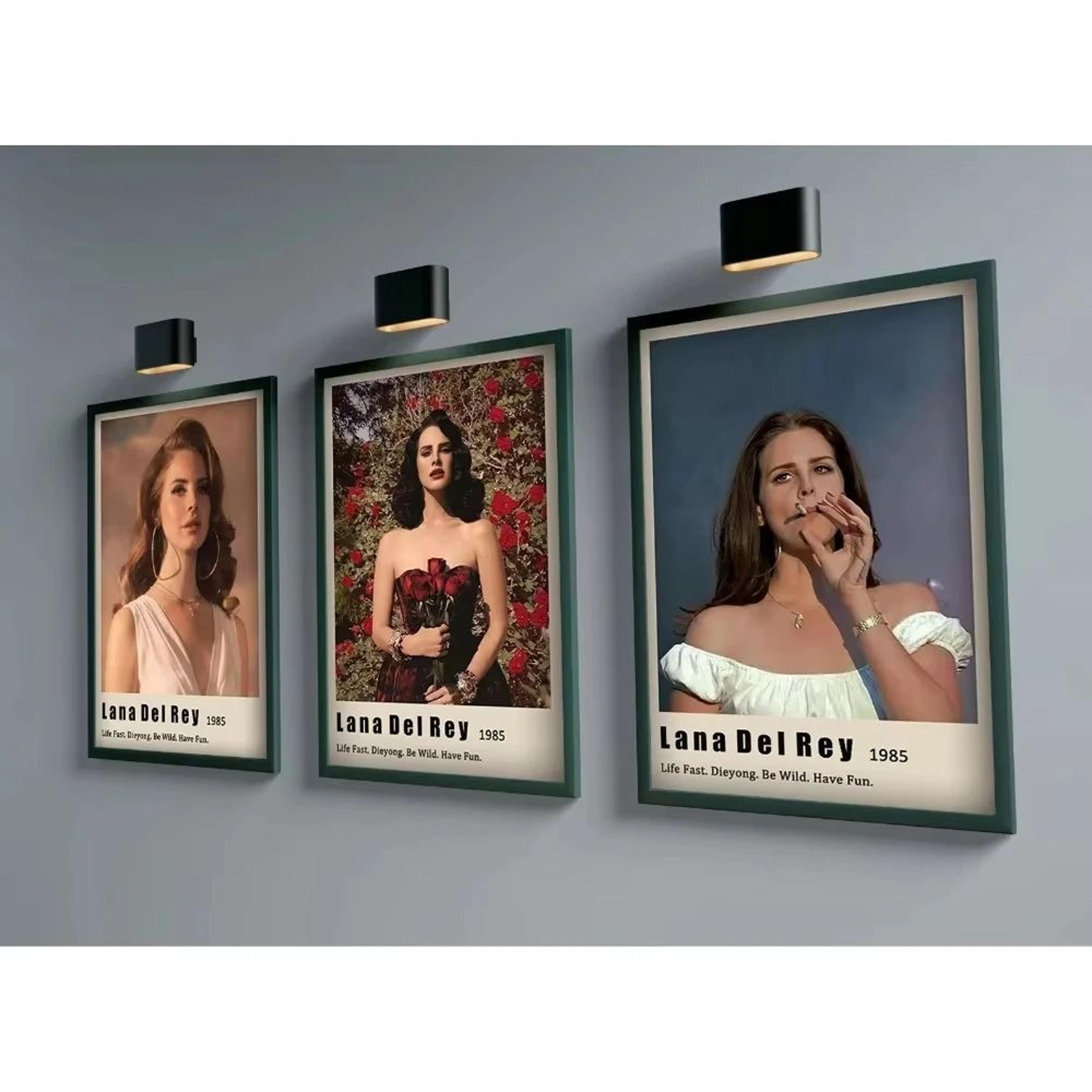 Lana Del Rey Canvas Wall Art Poster For Aesthetic Bedroom Decor 1