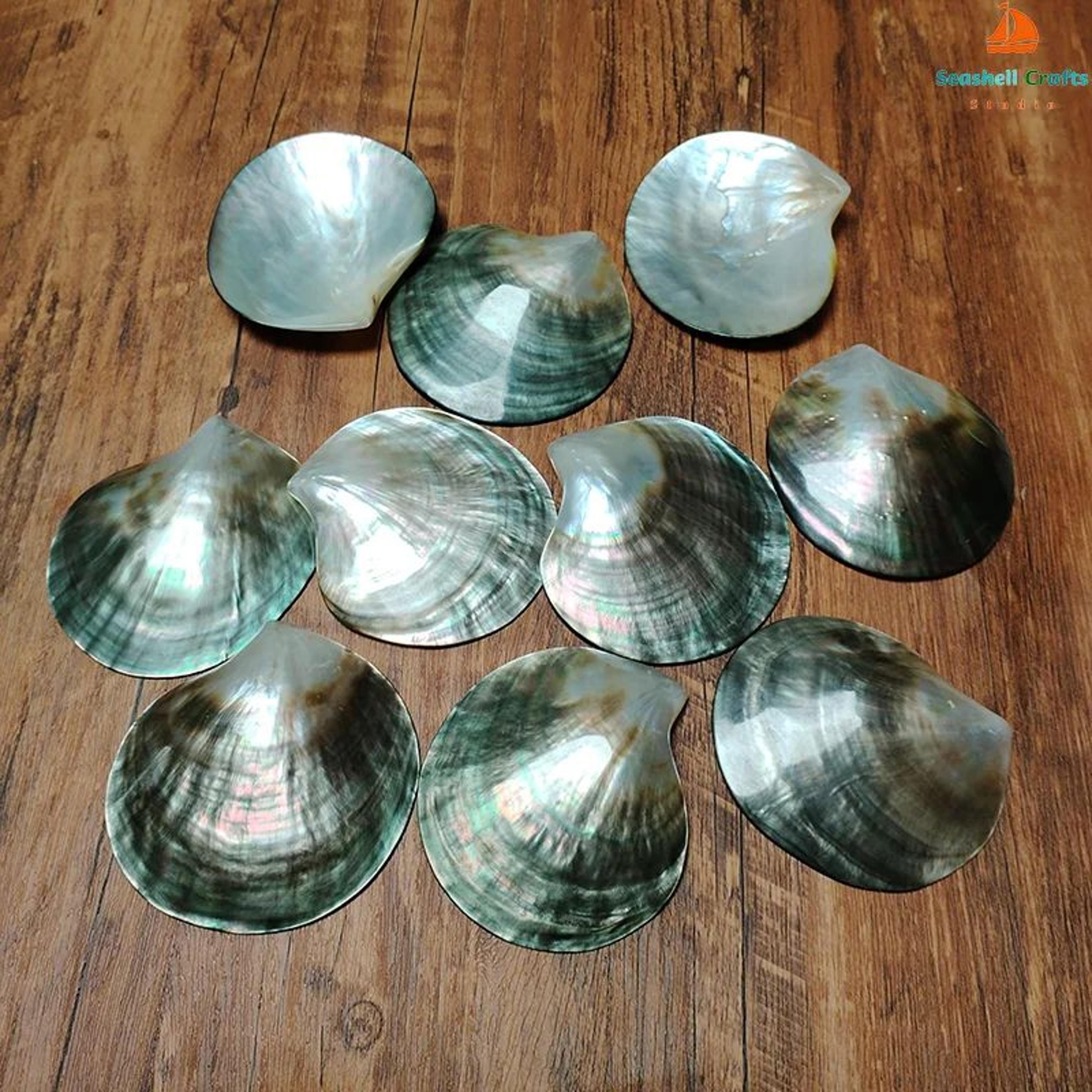 Black Mother Of Pearl Shell Beads  Polished Pinctada Margaritifera For DIY Jewelry  Elegant Storage 4