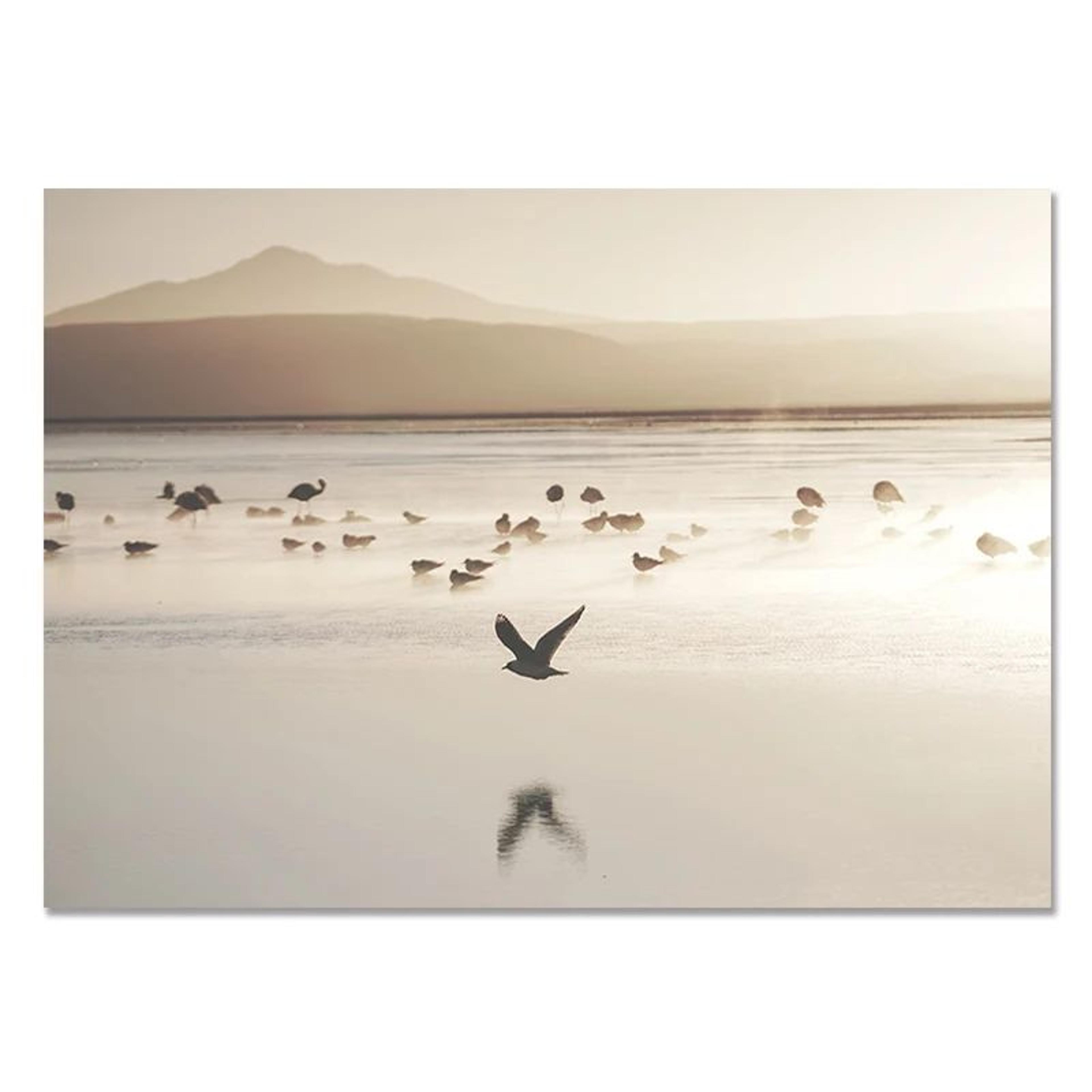 Nordic Coastal Canvas Wall Art Set  Minimalist Beach Flower Prints For Modern Home Decor 13