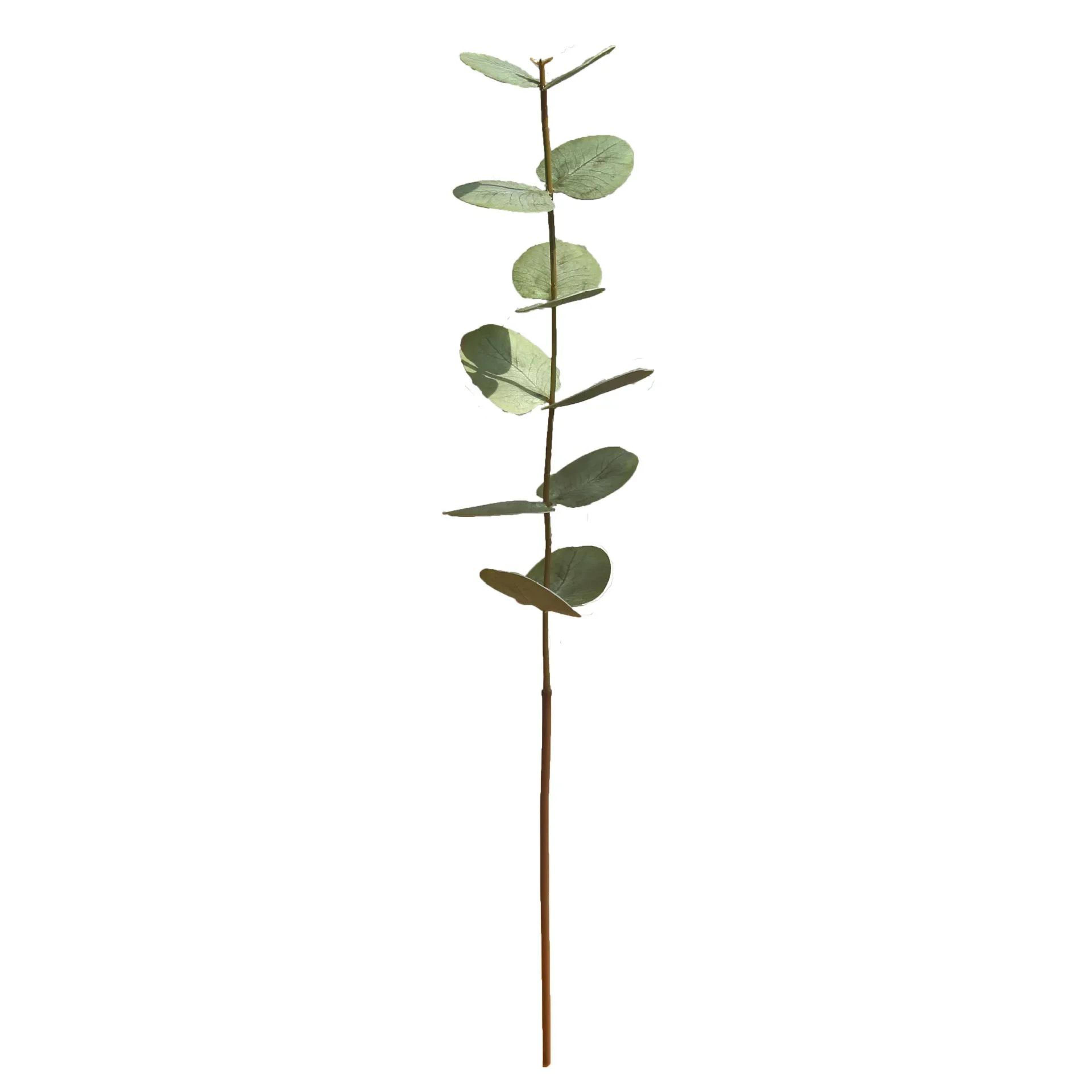 Real Touch Artificial Eucalyptus Leaves Stems For Wedding Bouquets And Home Table Decor 4