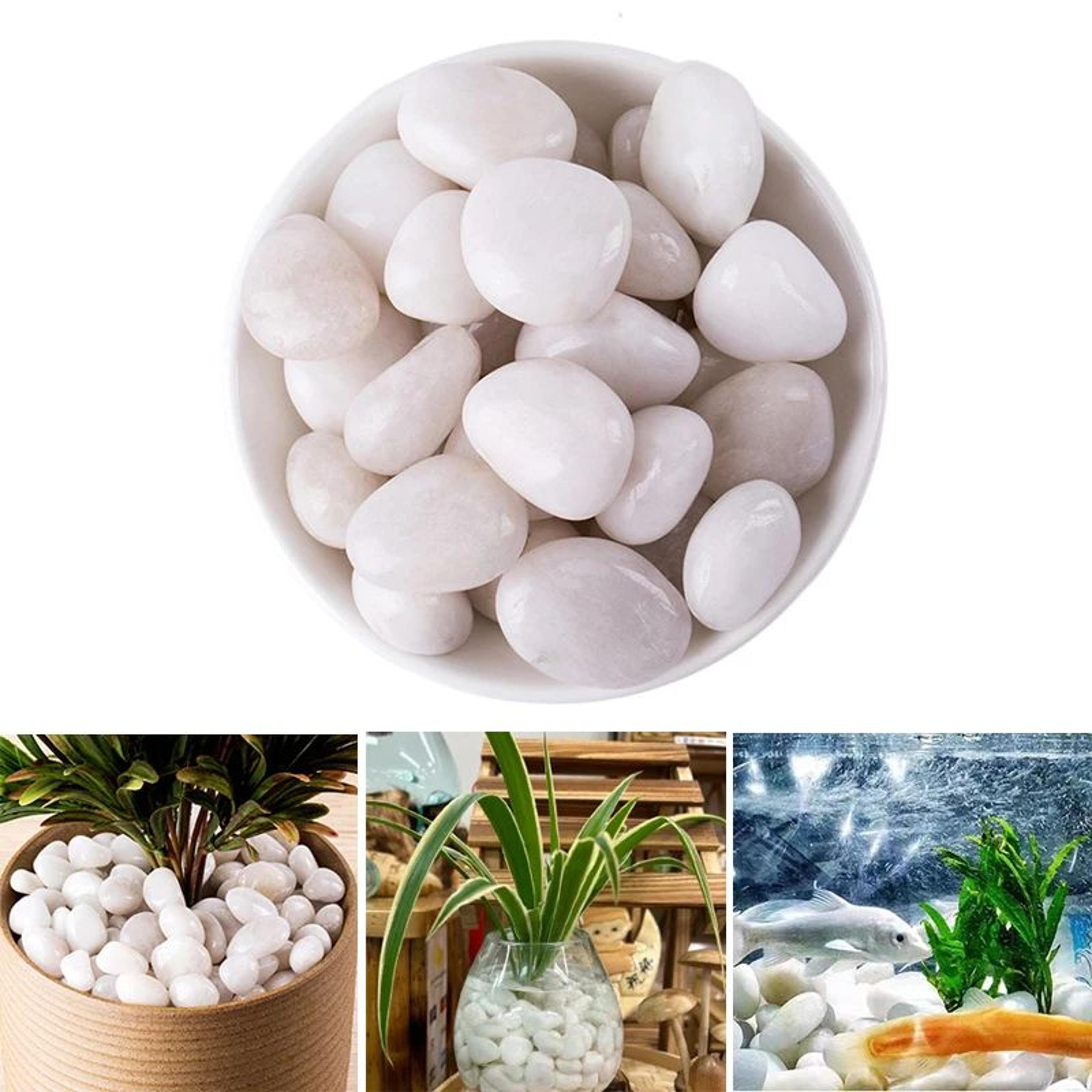 white polished pebbles 2–3cm for plants, fish tanks and garden decor