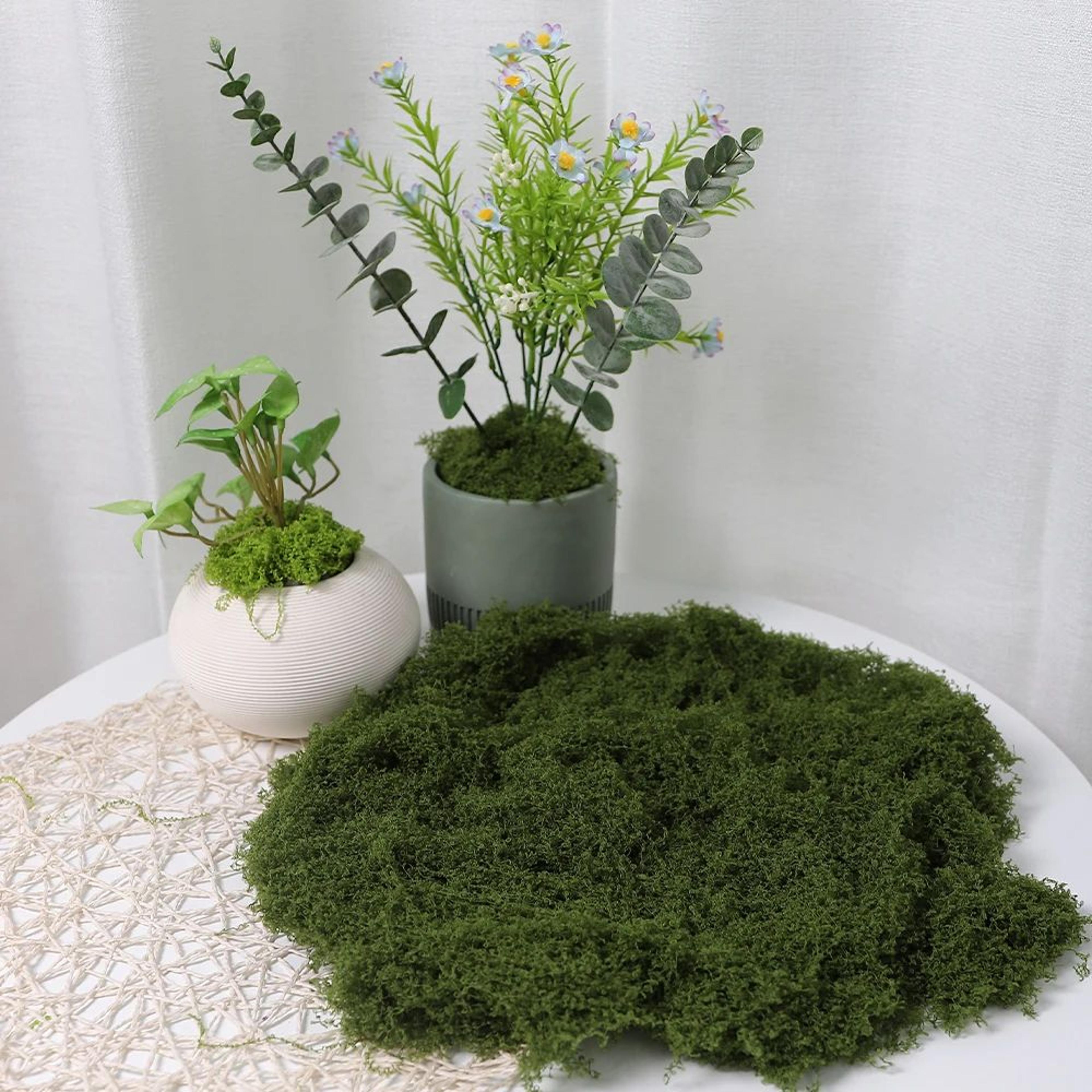 Premium Artificial Moss For Crafts  Decor  Lush Green Fake Moss For DIY Projects  Landscaping 8