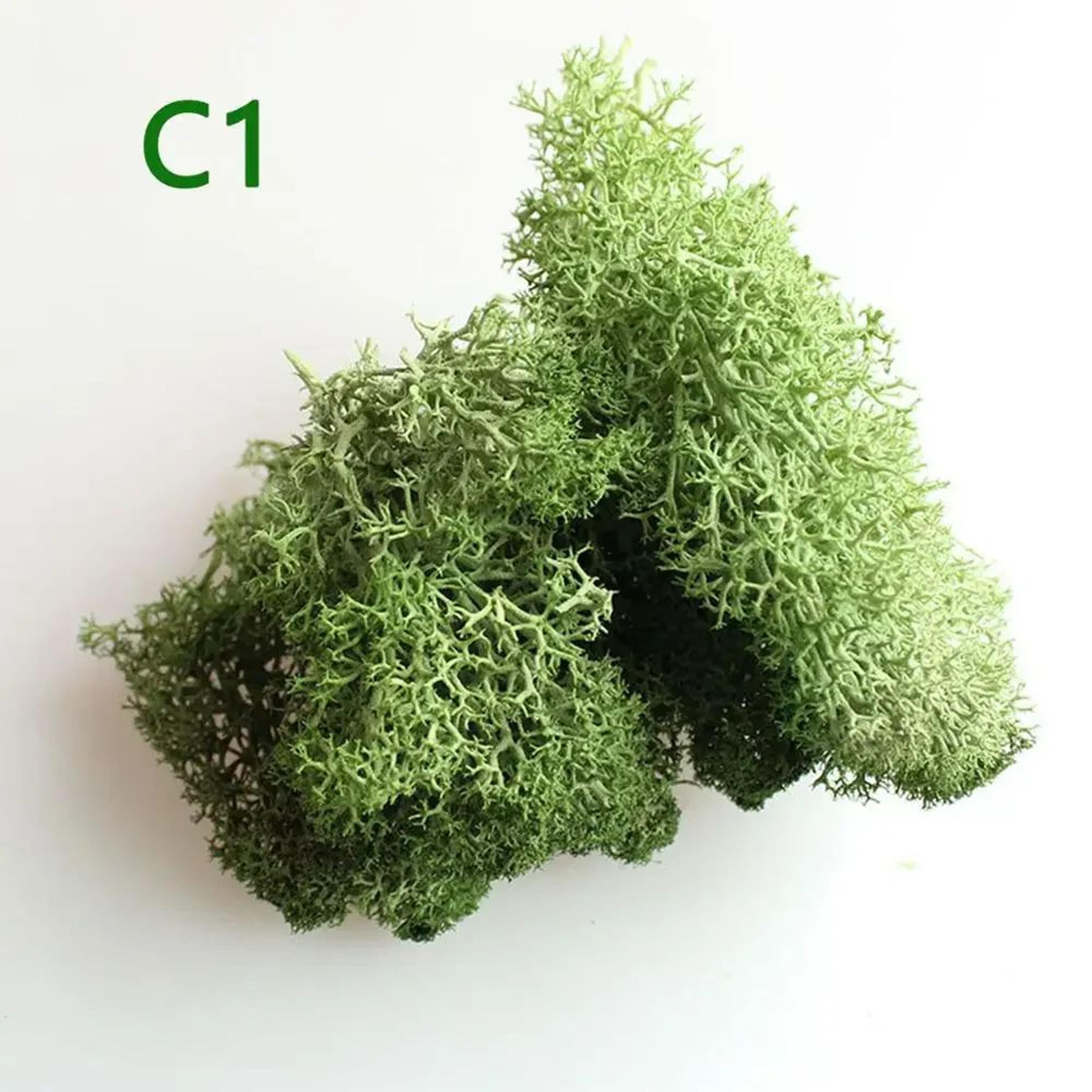 EverGreen Artificial Moss For Crafts And Moss Wall Decor 6