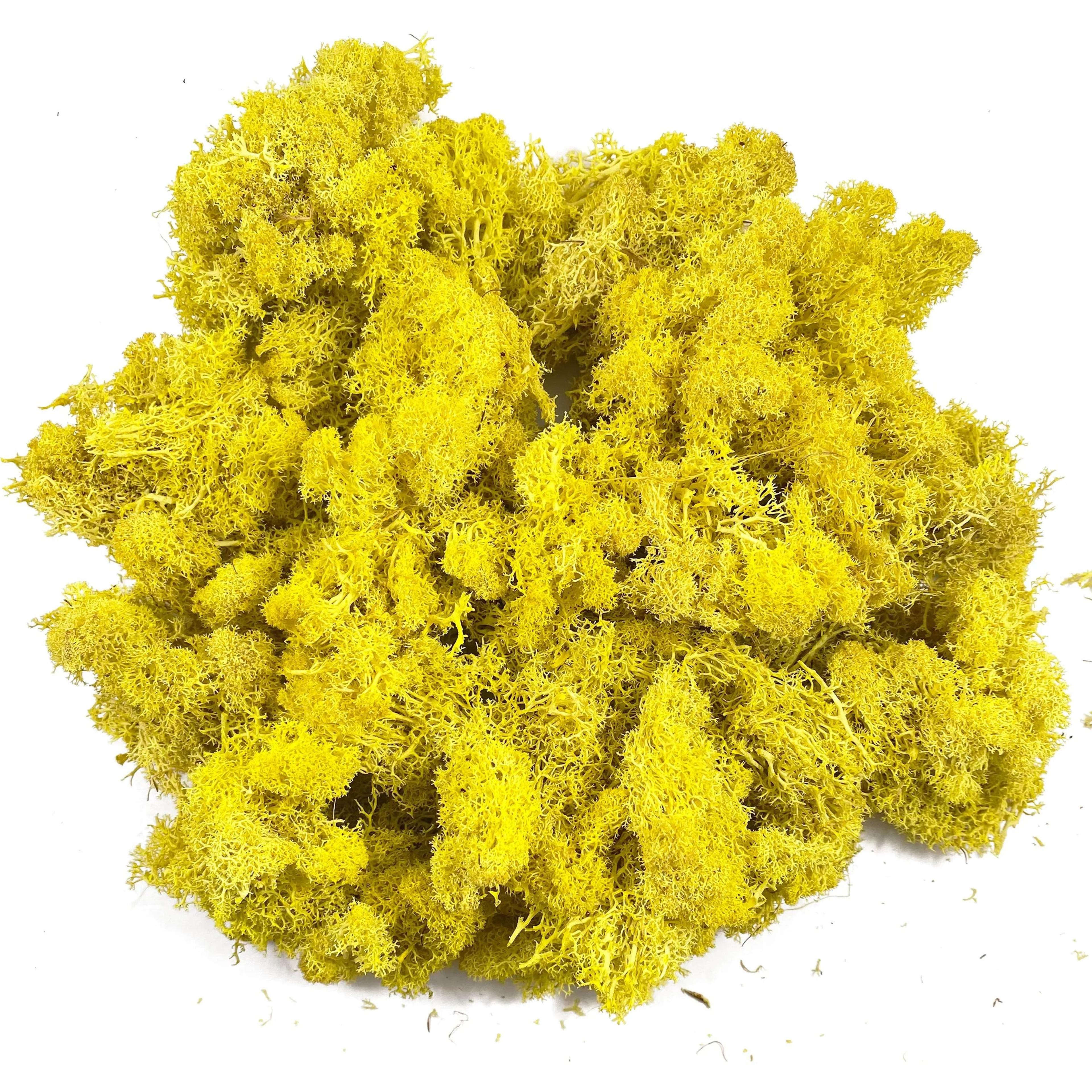 Premium Artificial Moss For Plants  Crafts  Realistic Reindeer Moss Decor For DIY Floral  Wall Styl 22