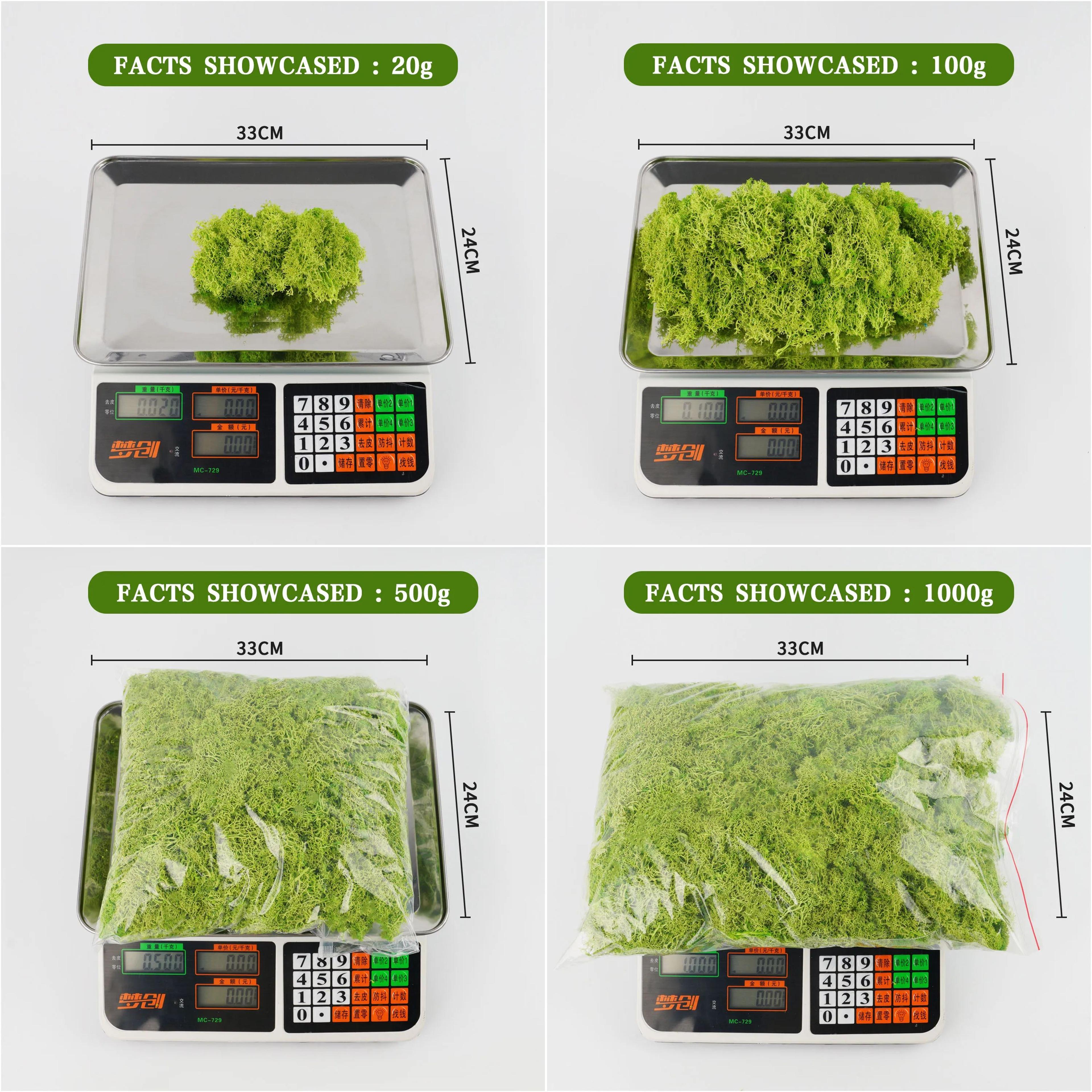 Artificial Moss For Crafts And Mini Landscape Decor 5