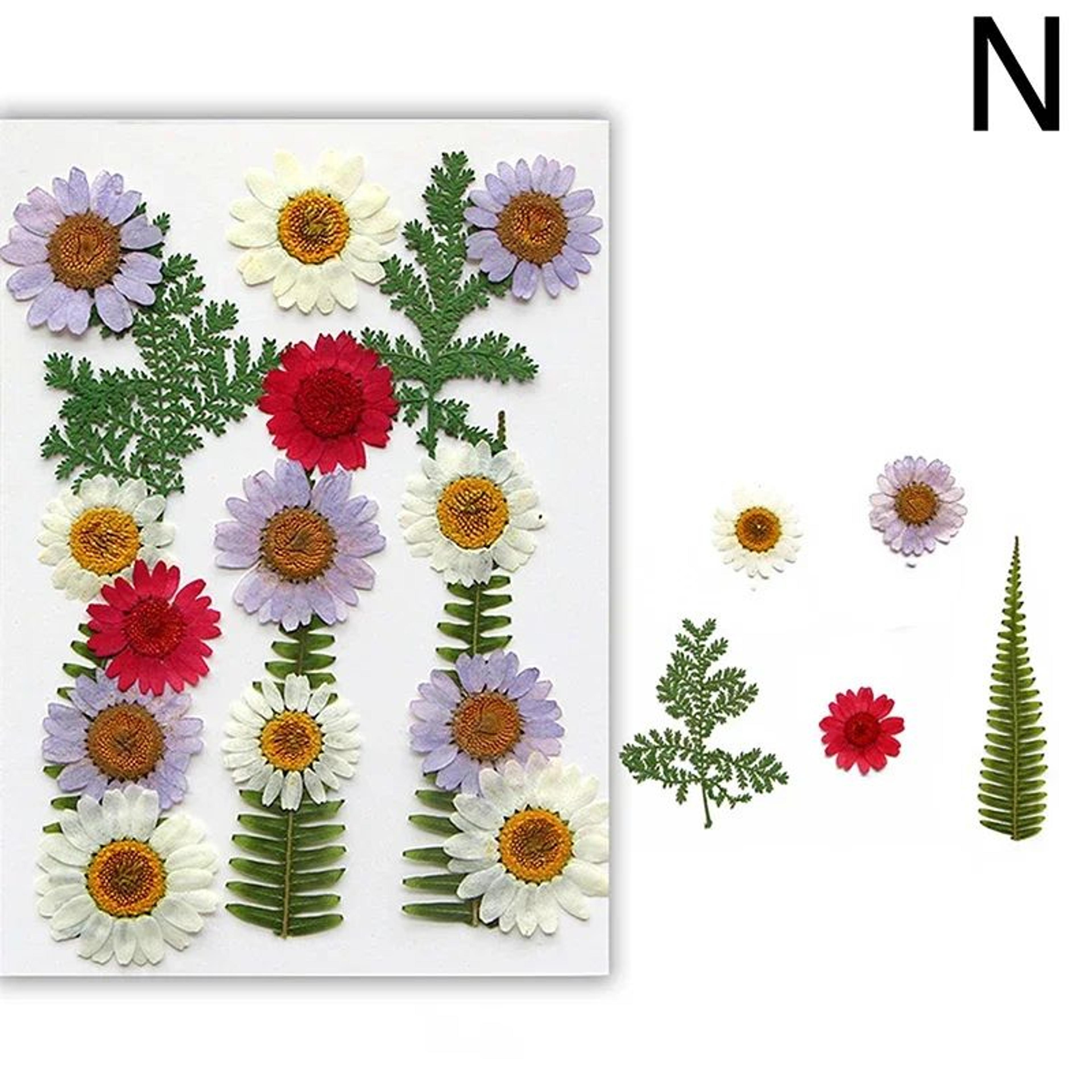 Real Dried Flower Resin Fillers For Nail Art Jewelry  DIY Crafts 18