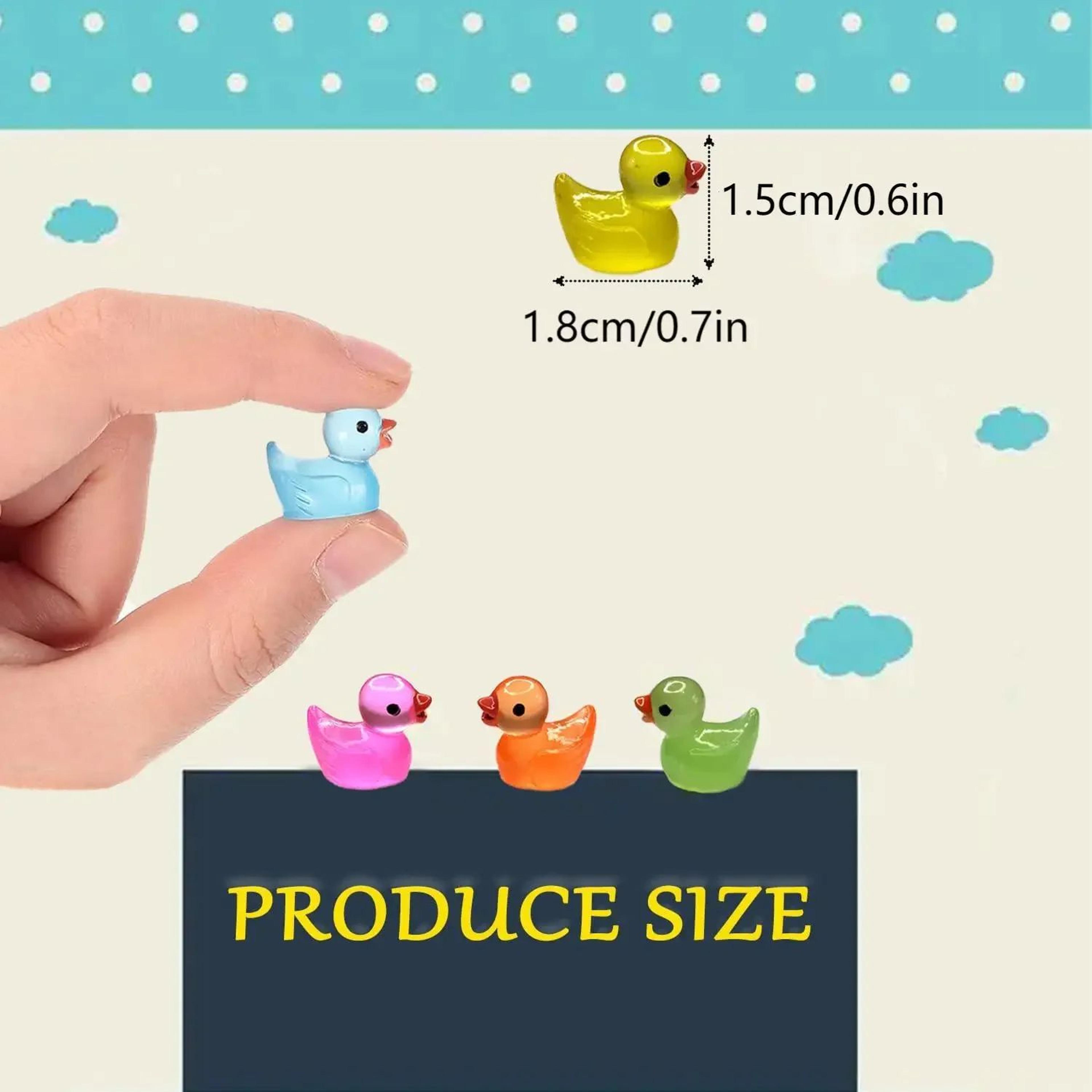 GlowCharm Mini Resin Ducks For Fairy Gardens  Decor 2