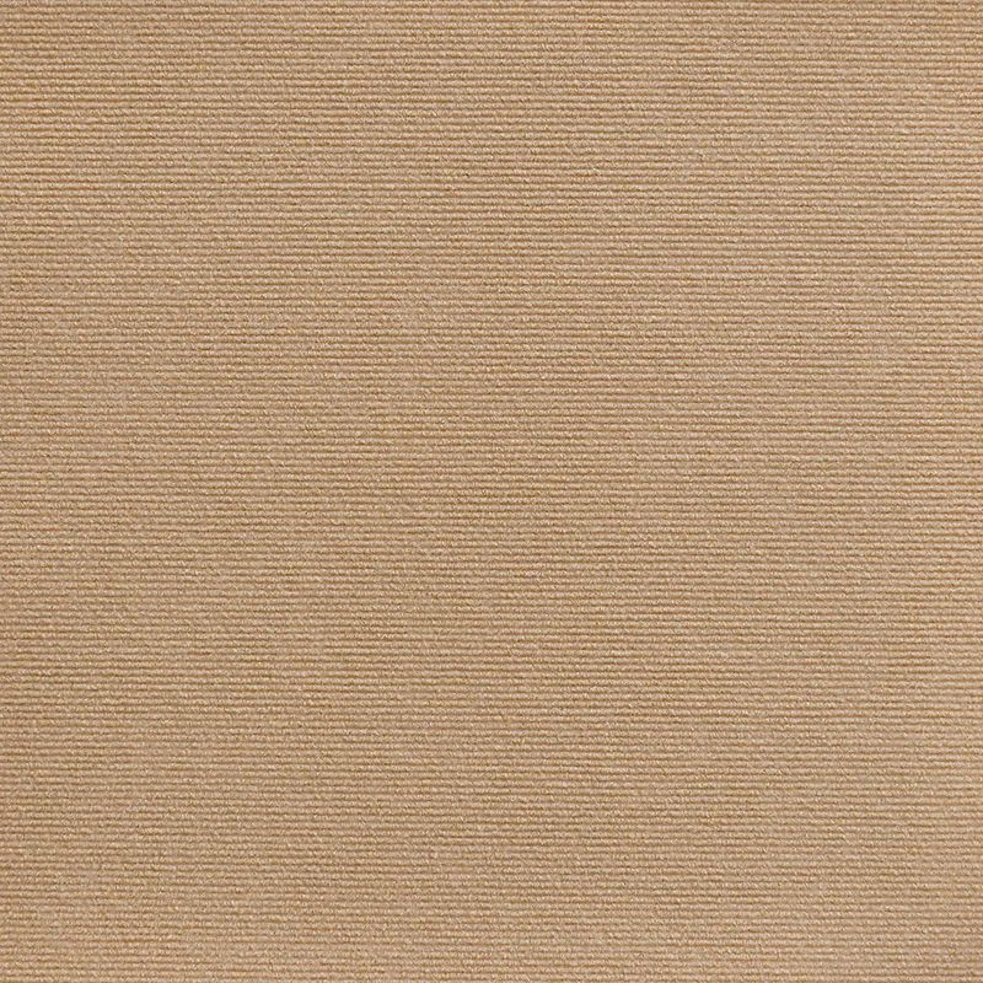 SelfAdhesive Cat Scratch Mat Furniture Protector Carpet 10
