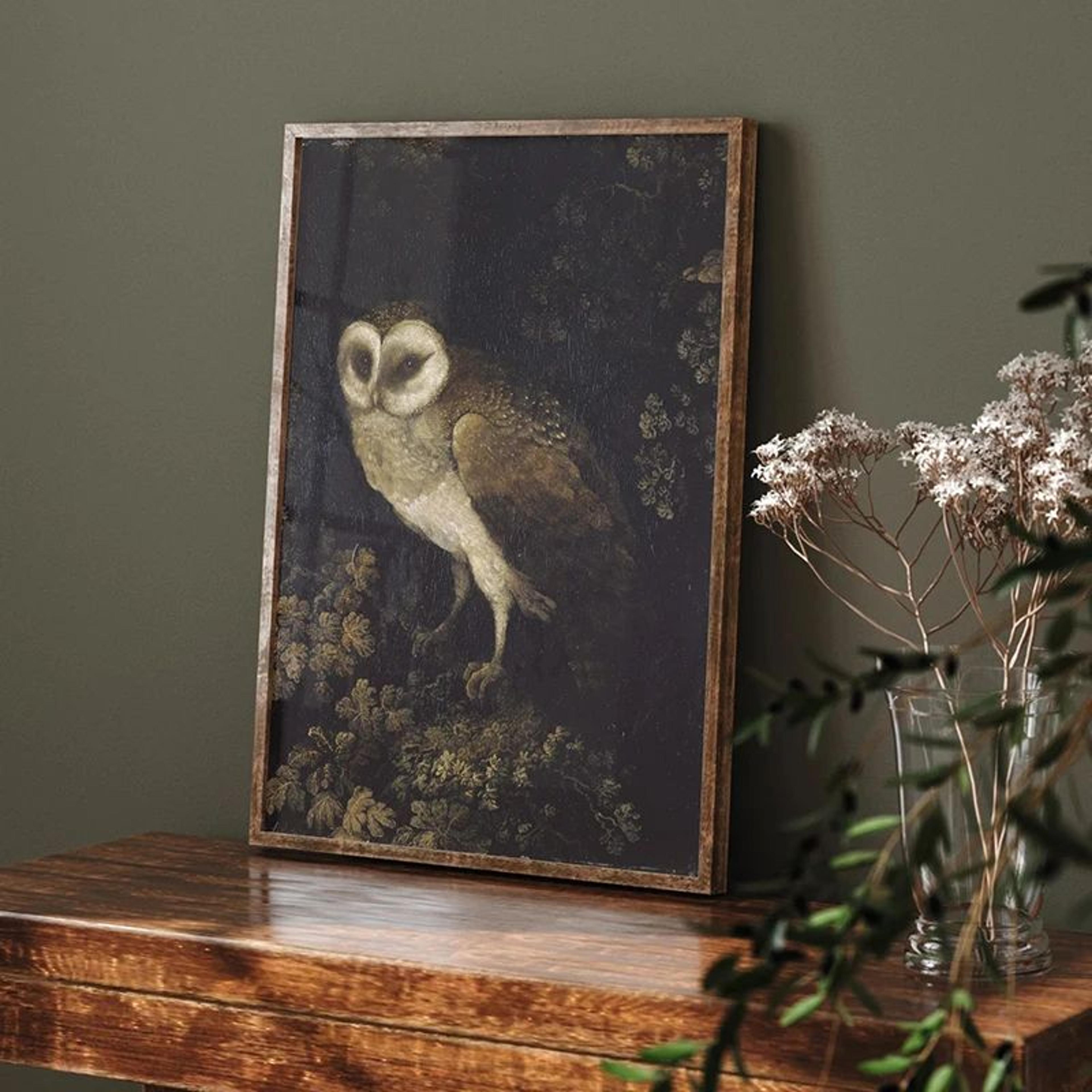 Vintage Owl Canvas Print  Dark Academia Cottagecore Wall Art With Butterflies 4