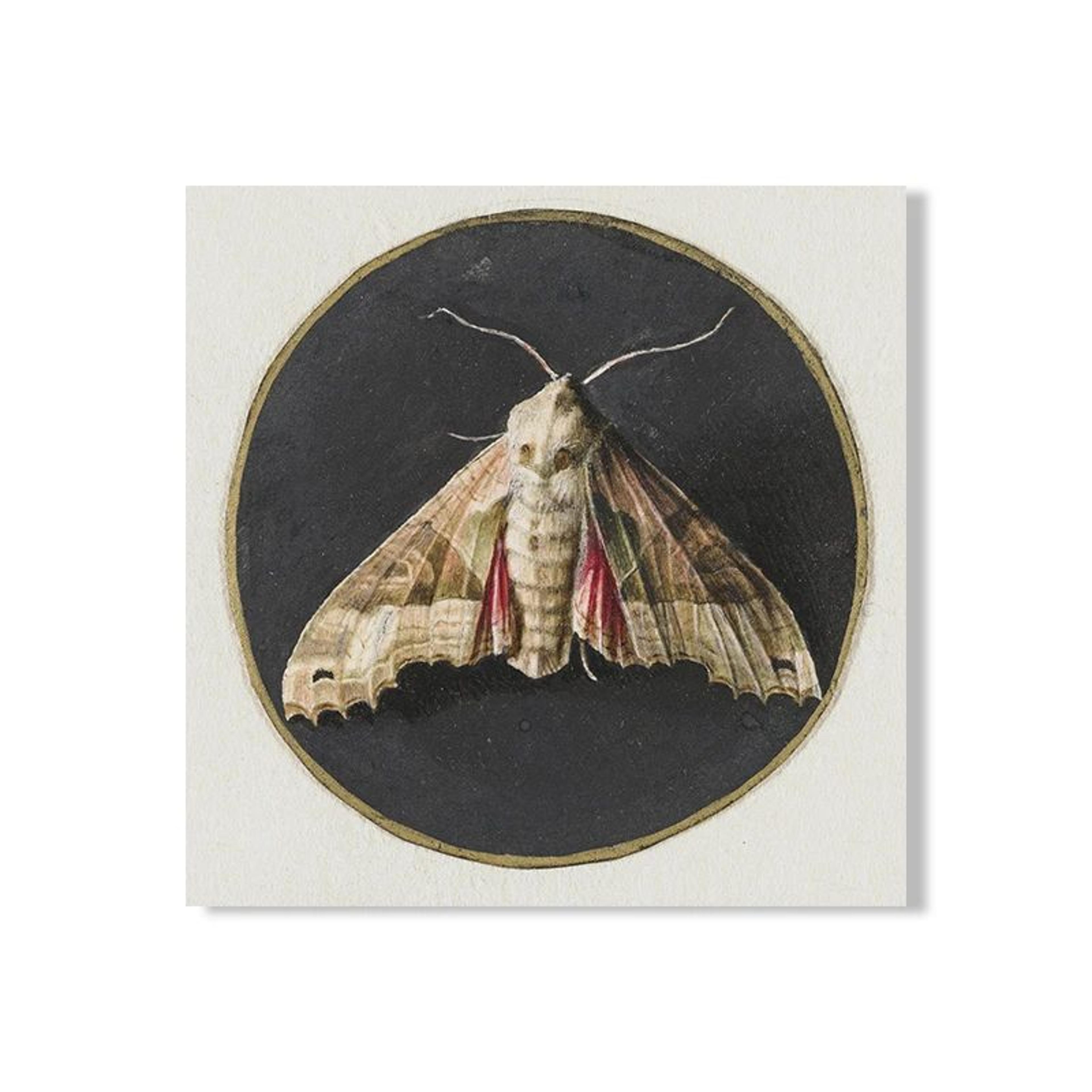Vintage Owl Canvas Print  Dark Academia Cottagecore Wall Art With Butterflies 9