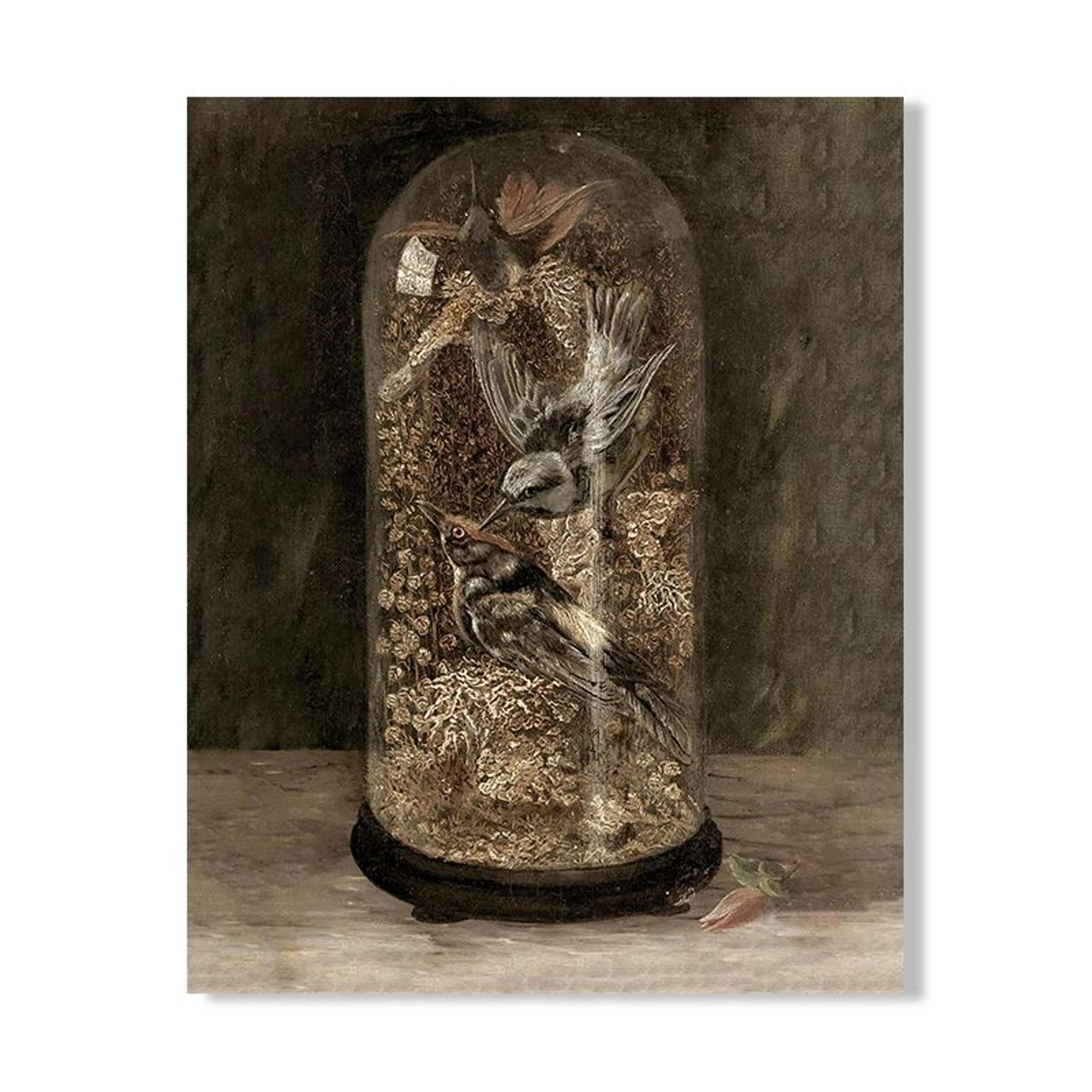 Vintage Owl Canvas Print  Dark Academia Cottagecore Wall Art With Butterflies 14