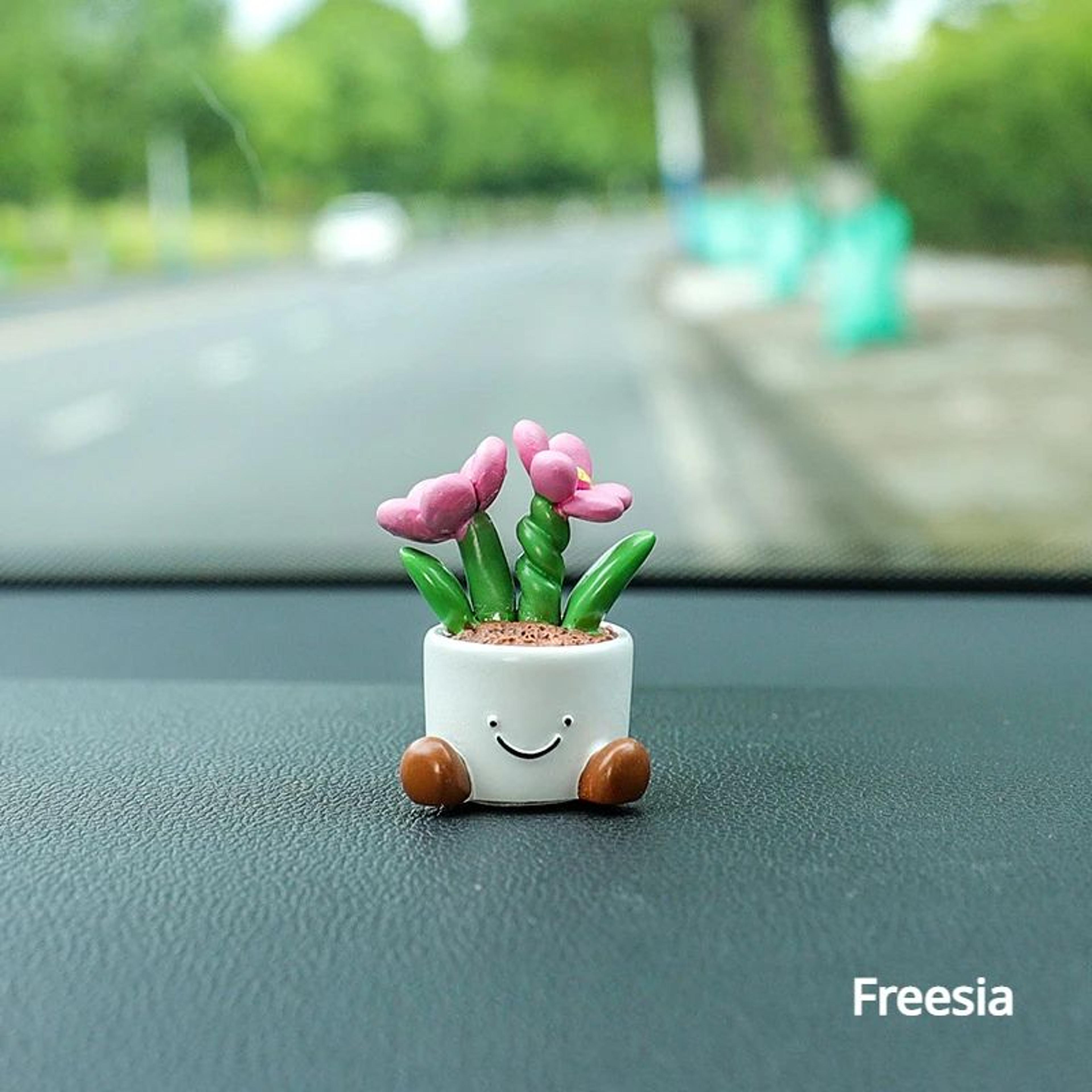Mini Flower Pot Car Dashboard Ornament 8