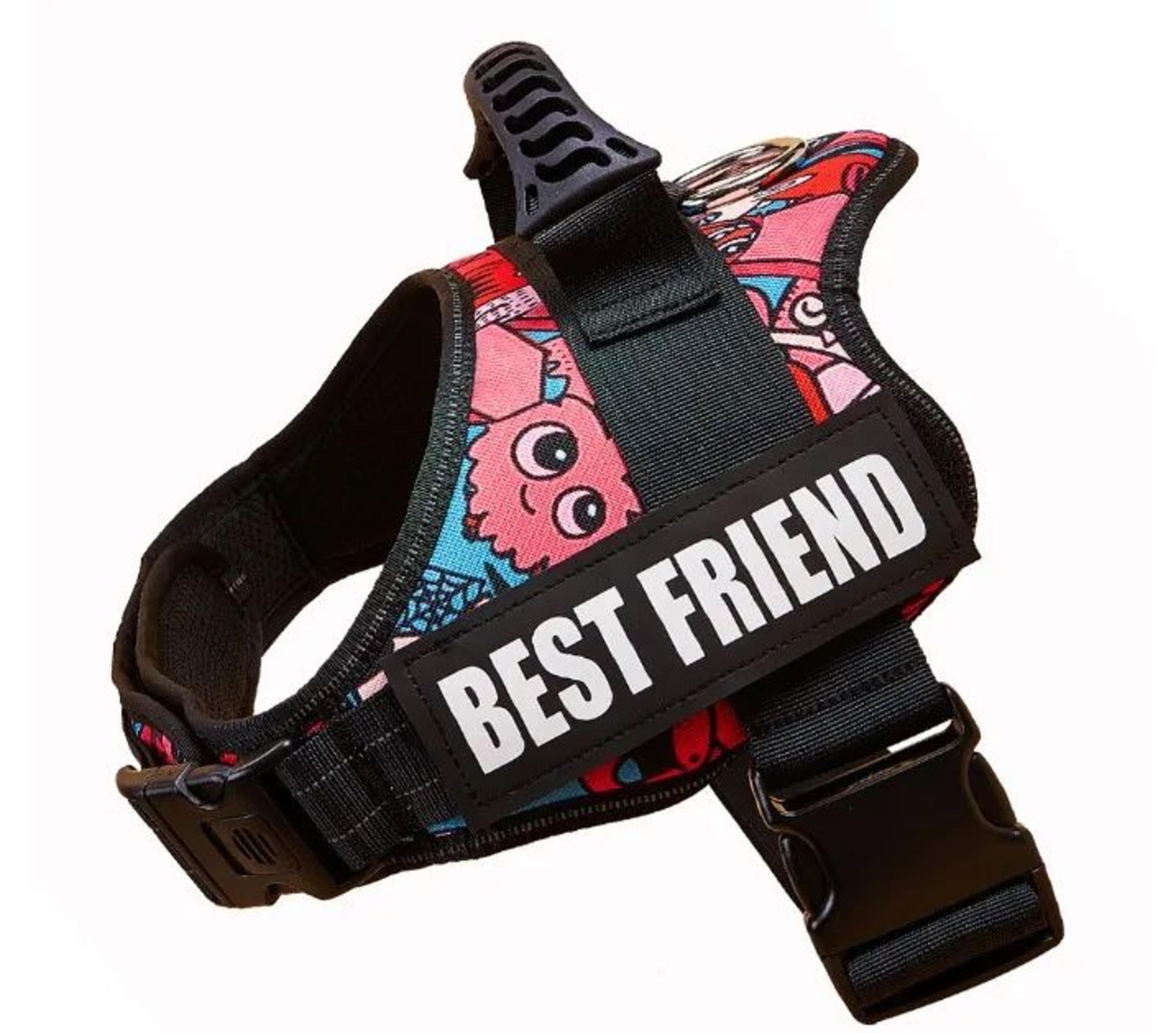 Personalized Adjustable Nylon Dog Vest Harness 19