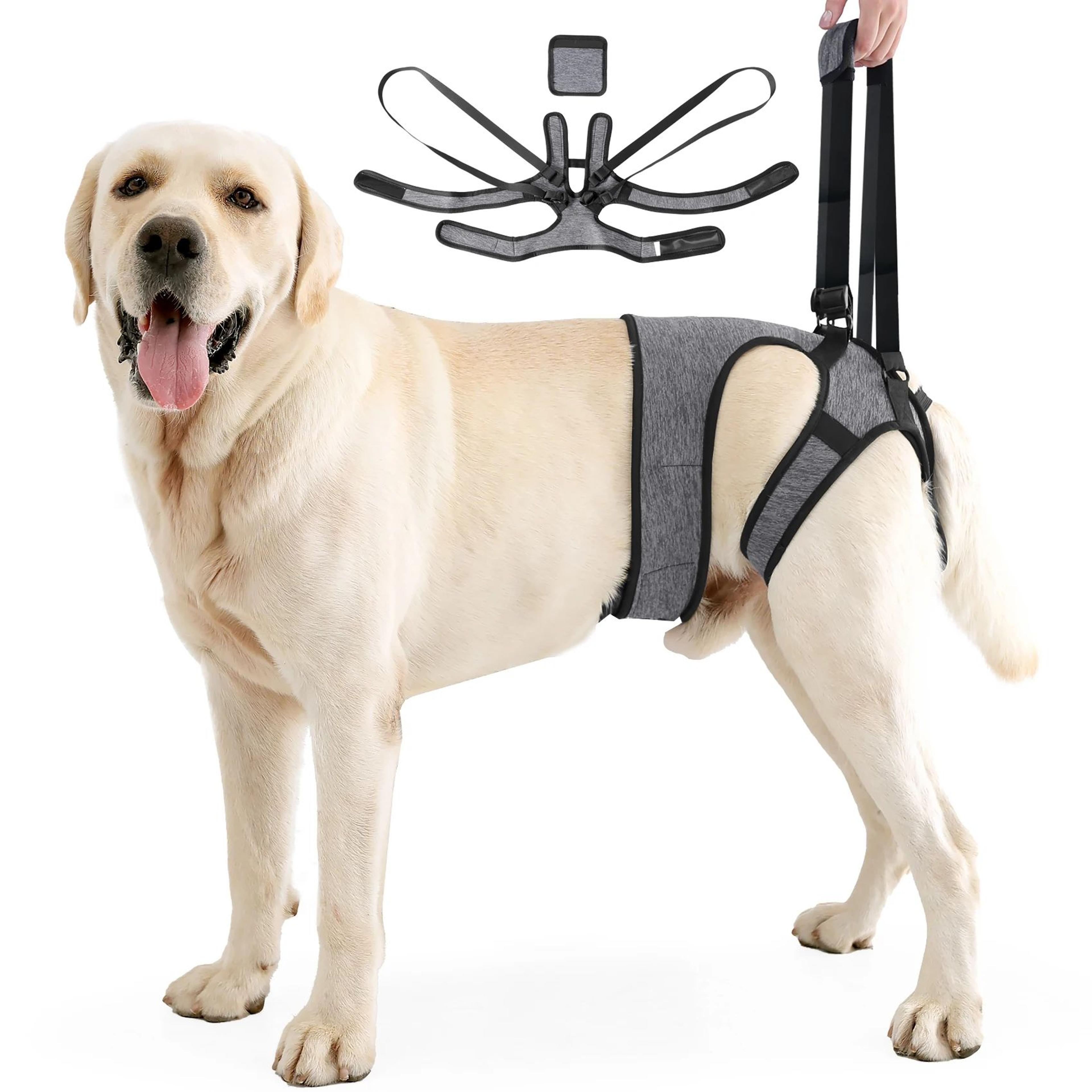 supportease dog lift harness for back legs