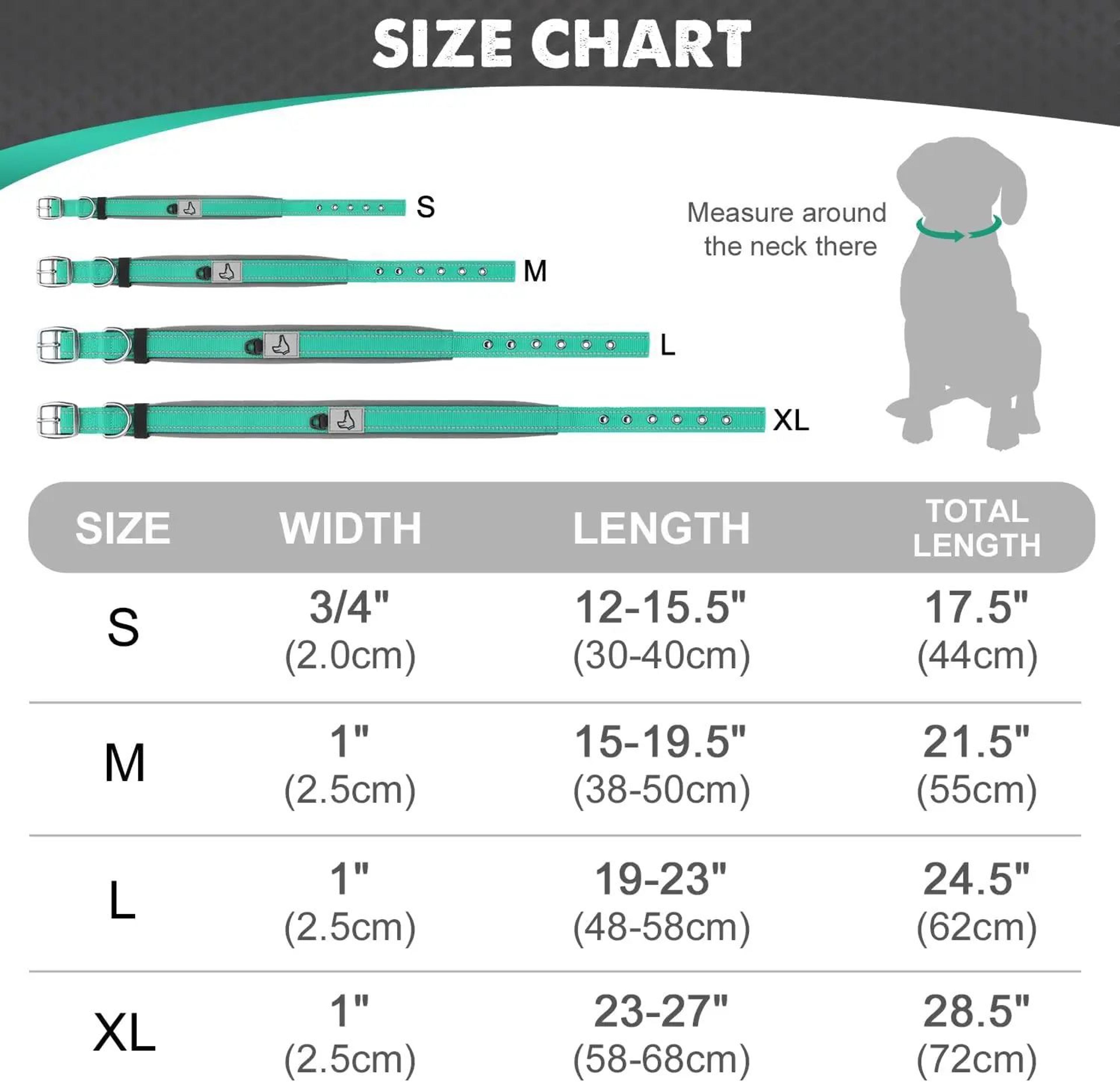 ComfortFit Reflective Padded Dog Collar 1