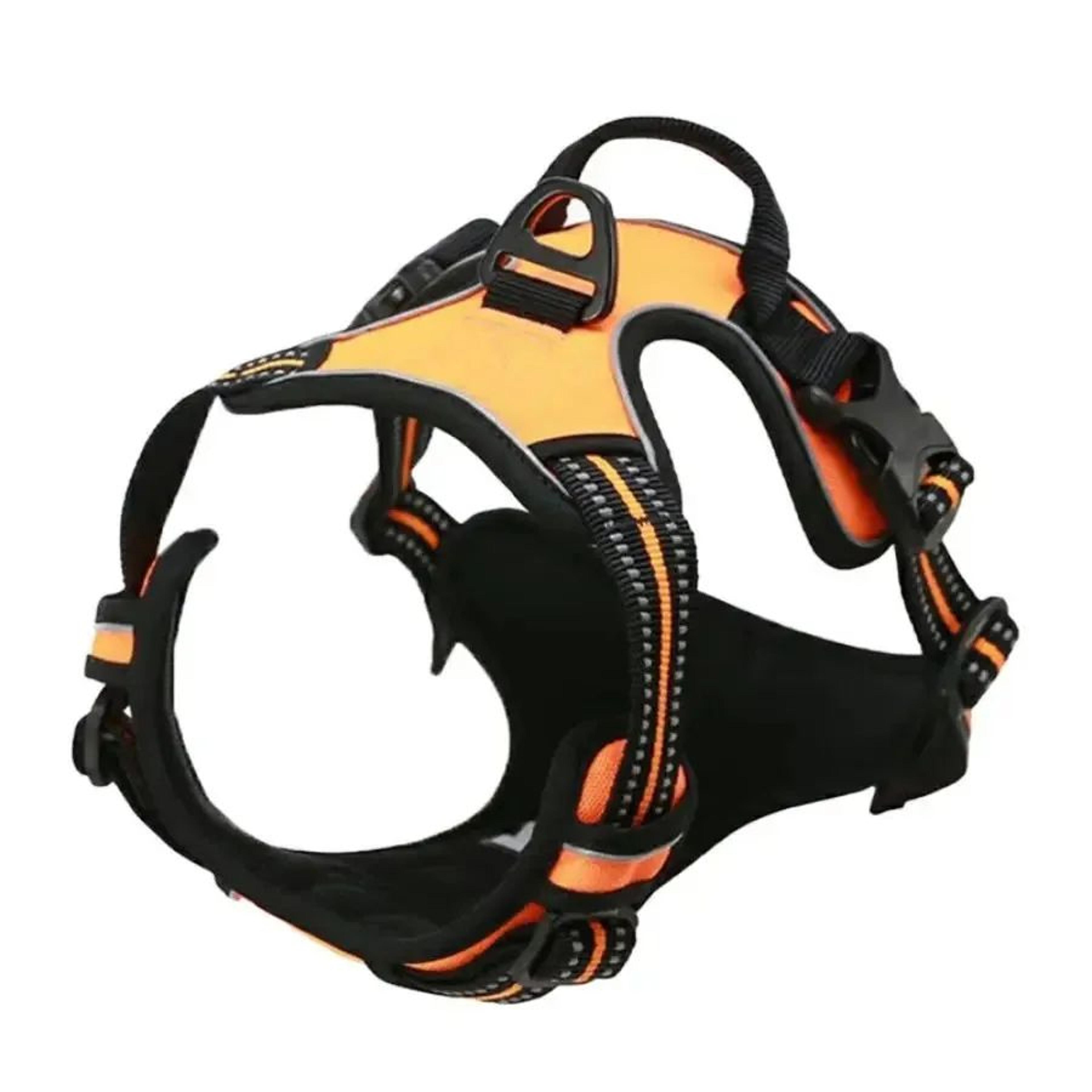 Luxury Leather Dog Harness  Leash Set For Small  Medium Dogs 10