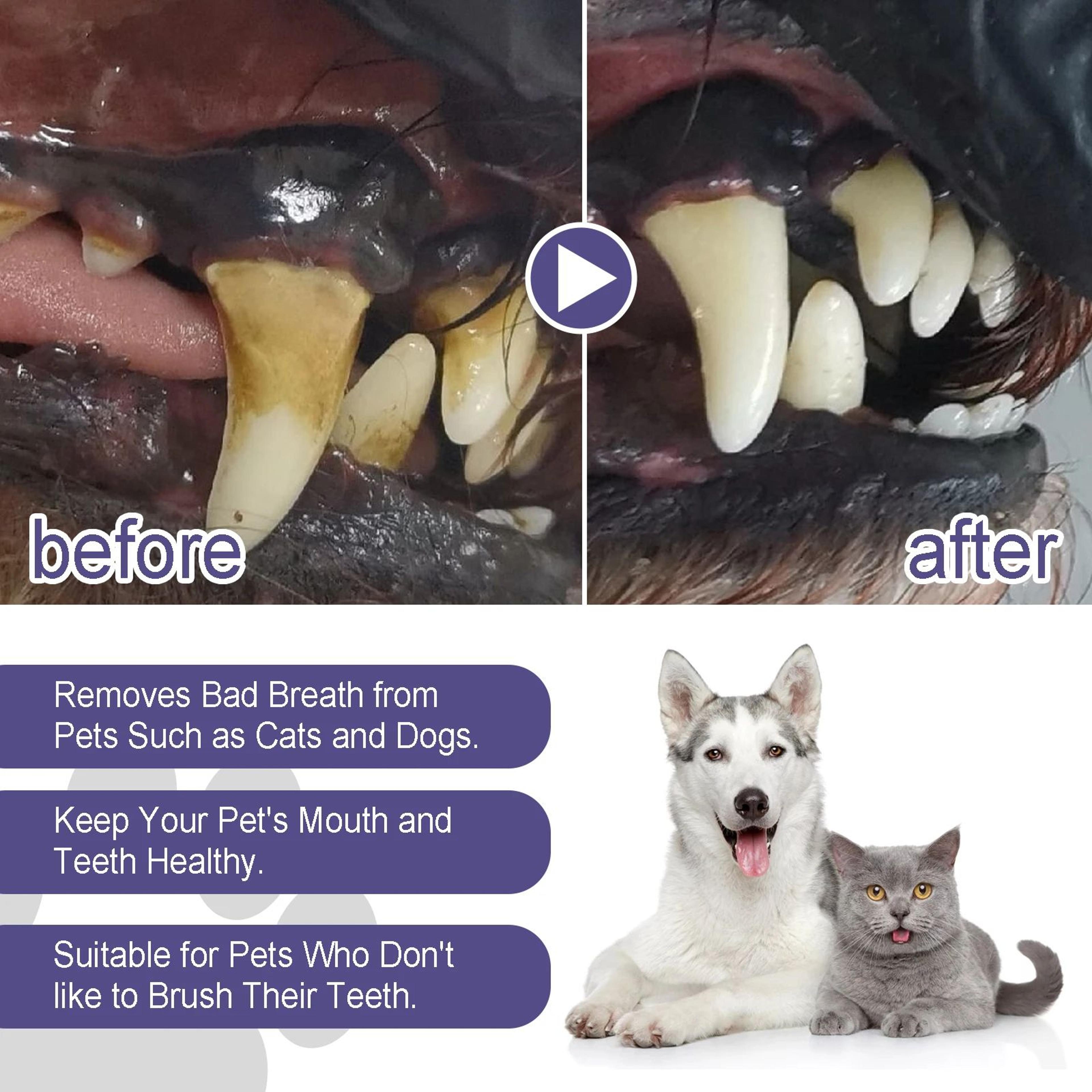 FreshSmile Pet Dental Gel Pen For Dogs And Cats 4
