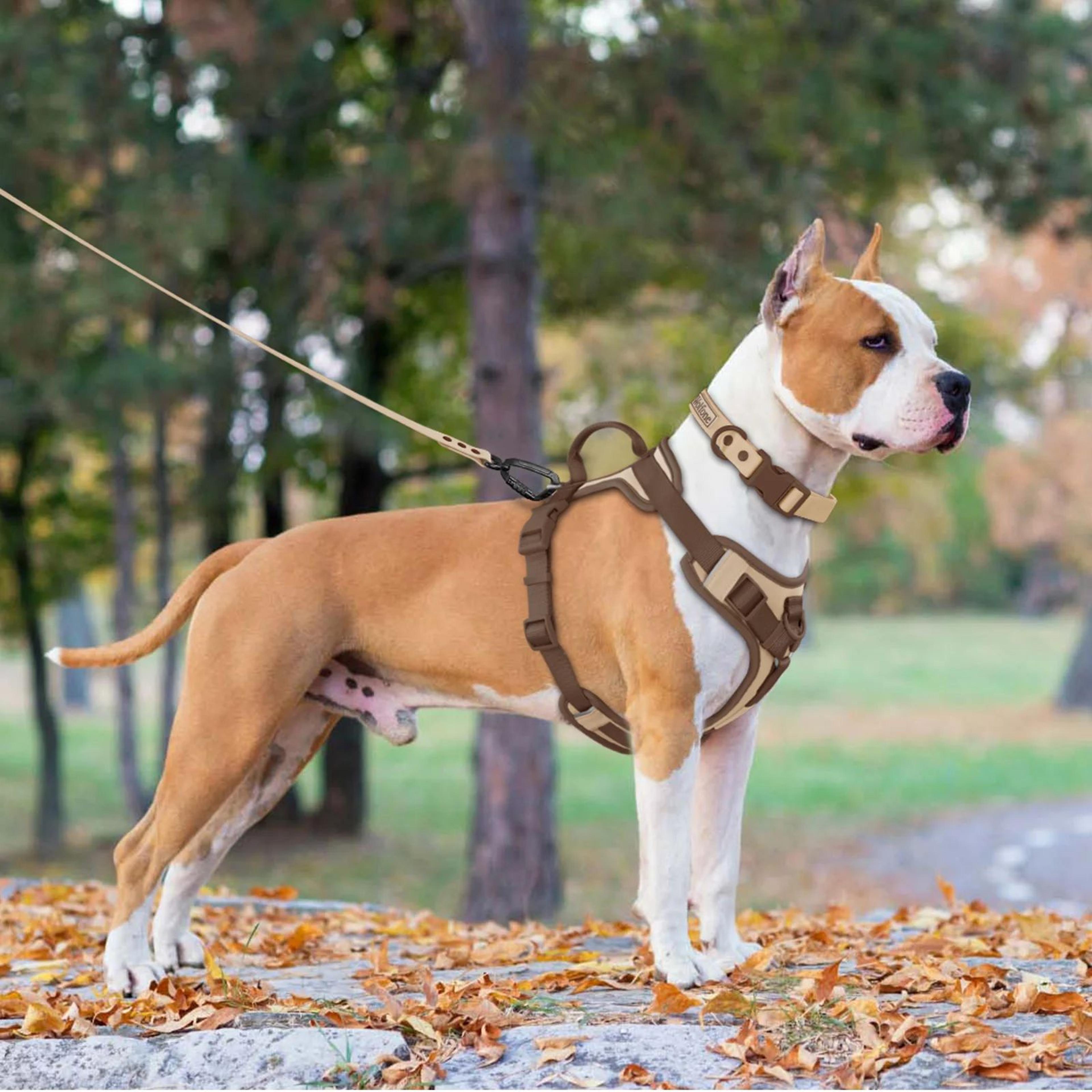 Personalized Dog Harness With Custom Name Patch 4