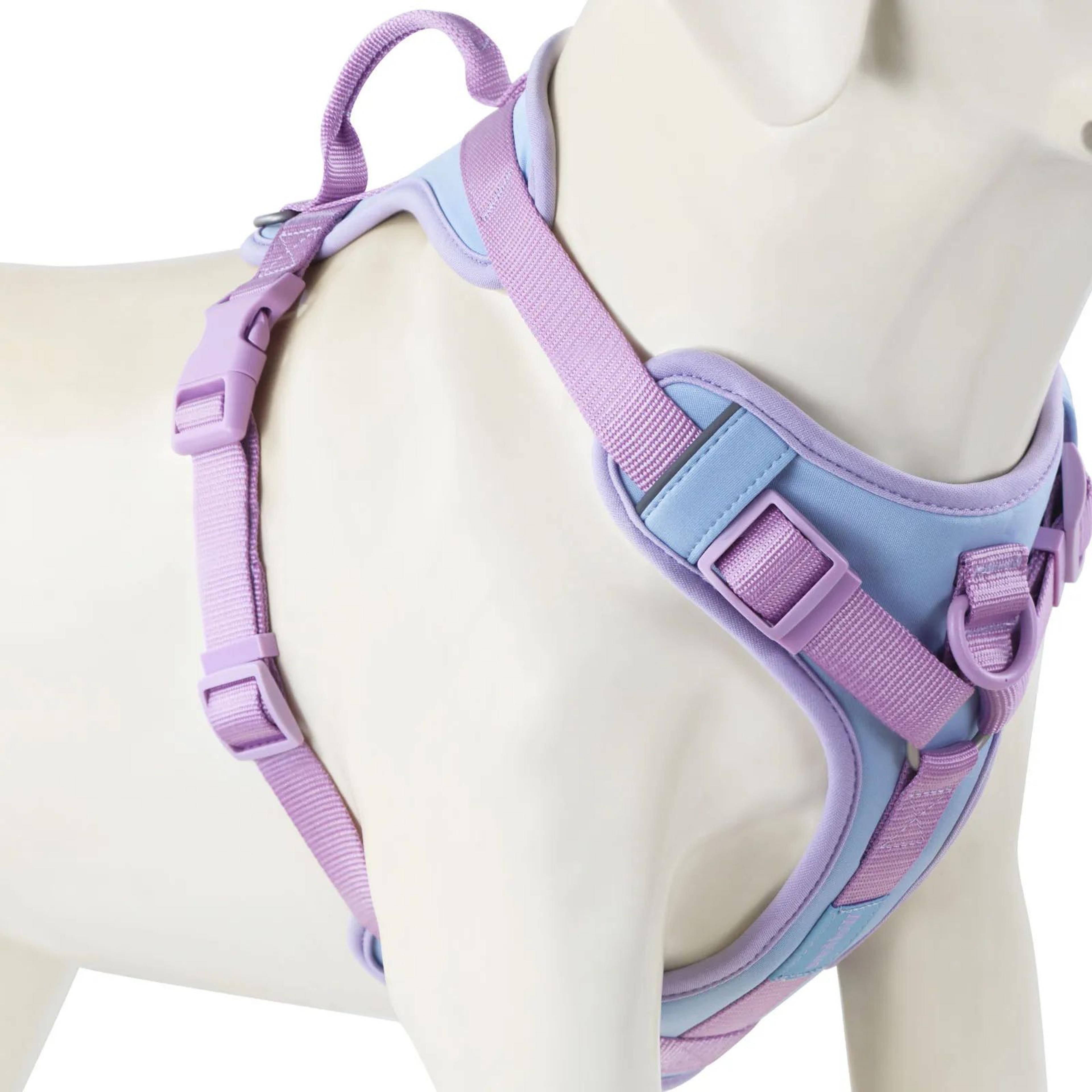Personalized Dog Harness With Custom Name Patch 10