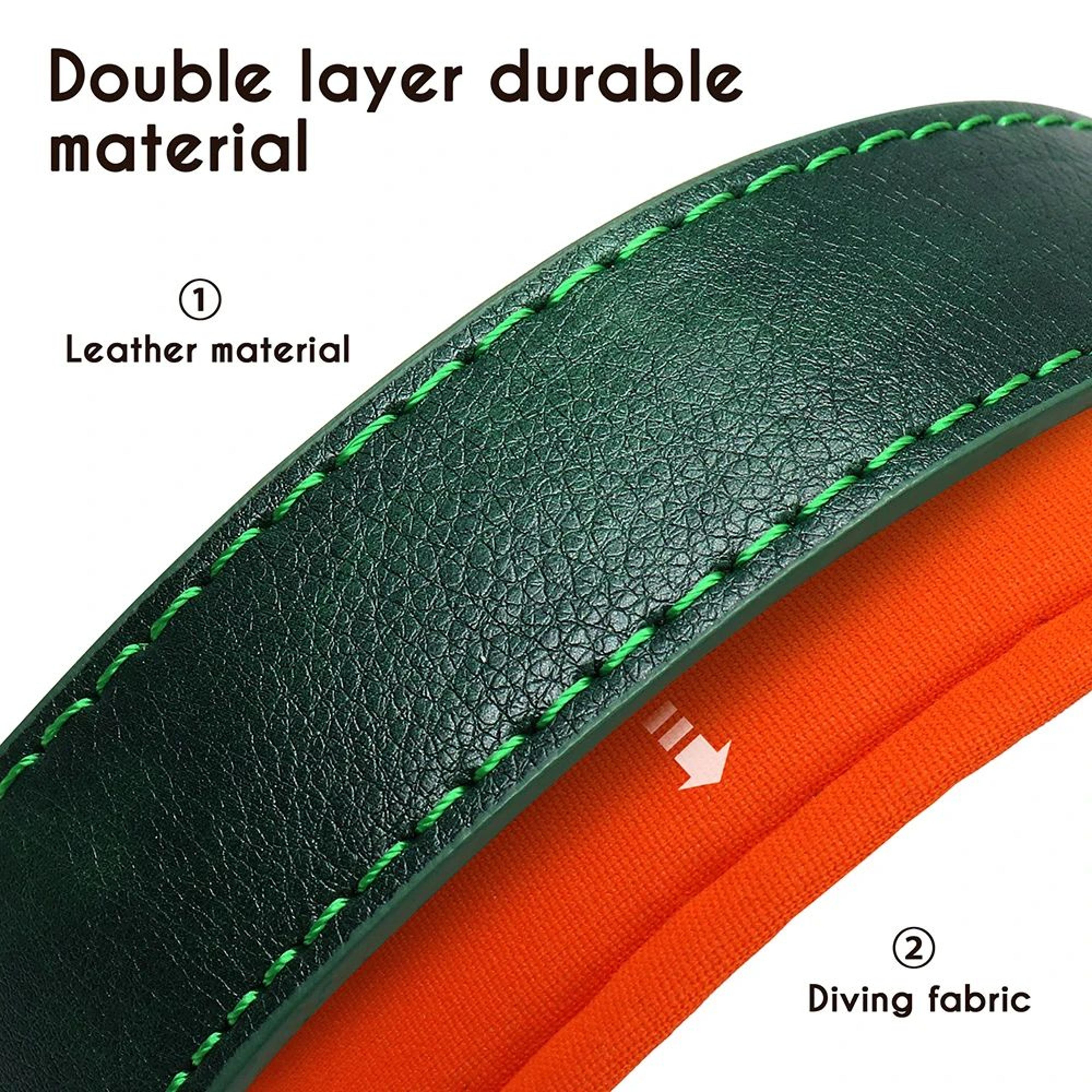Personalized Padded Leather Dog Collar With Engraved Nameplate 4