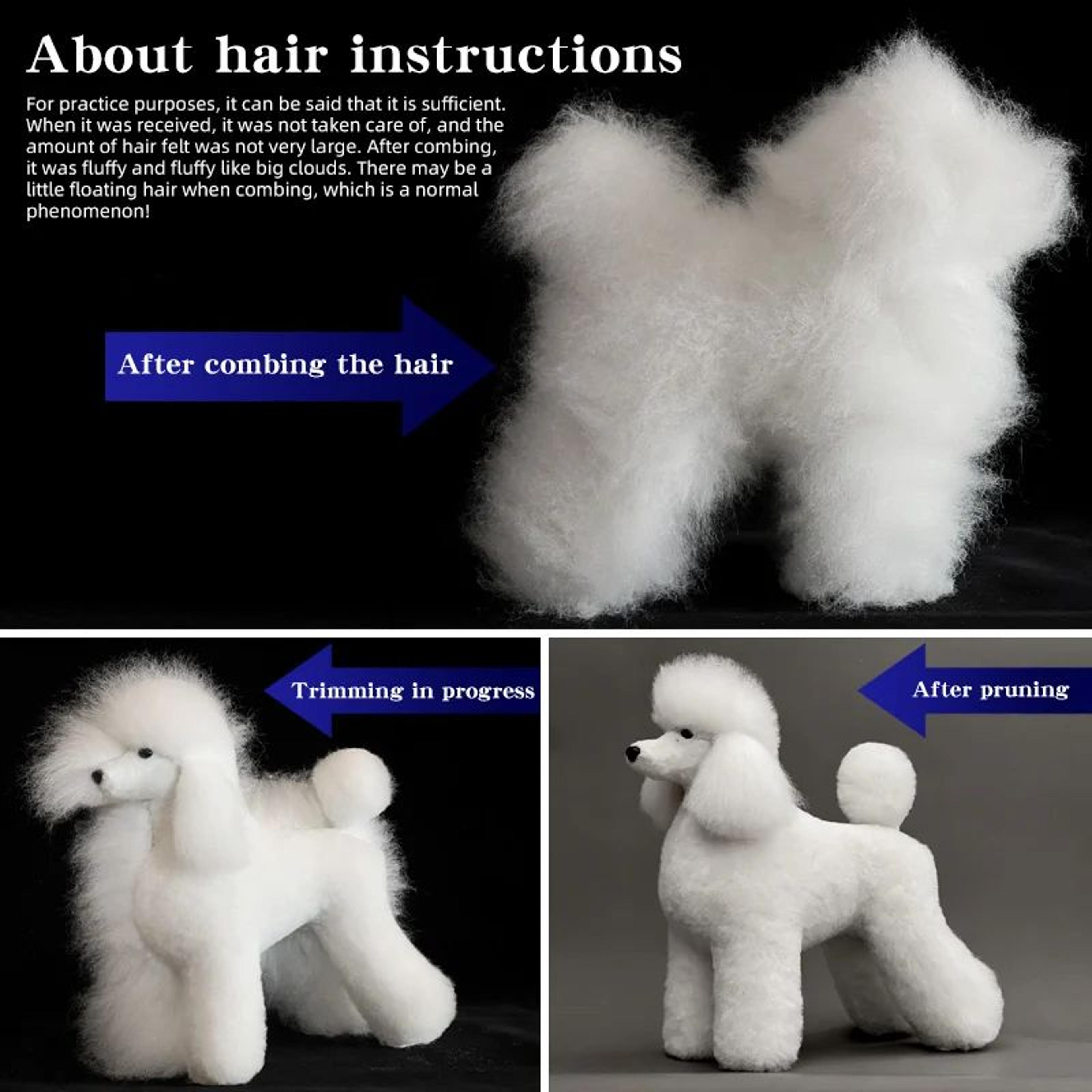 Professional Dog Grooming Practice Model For Poodle Styling Training 1