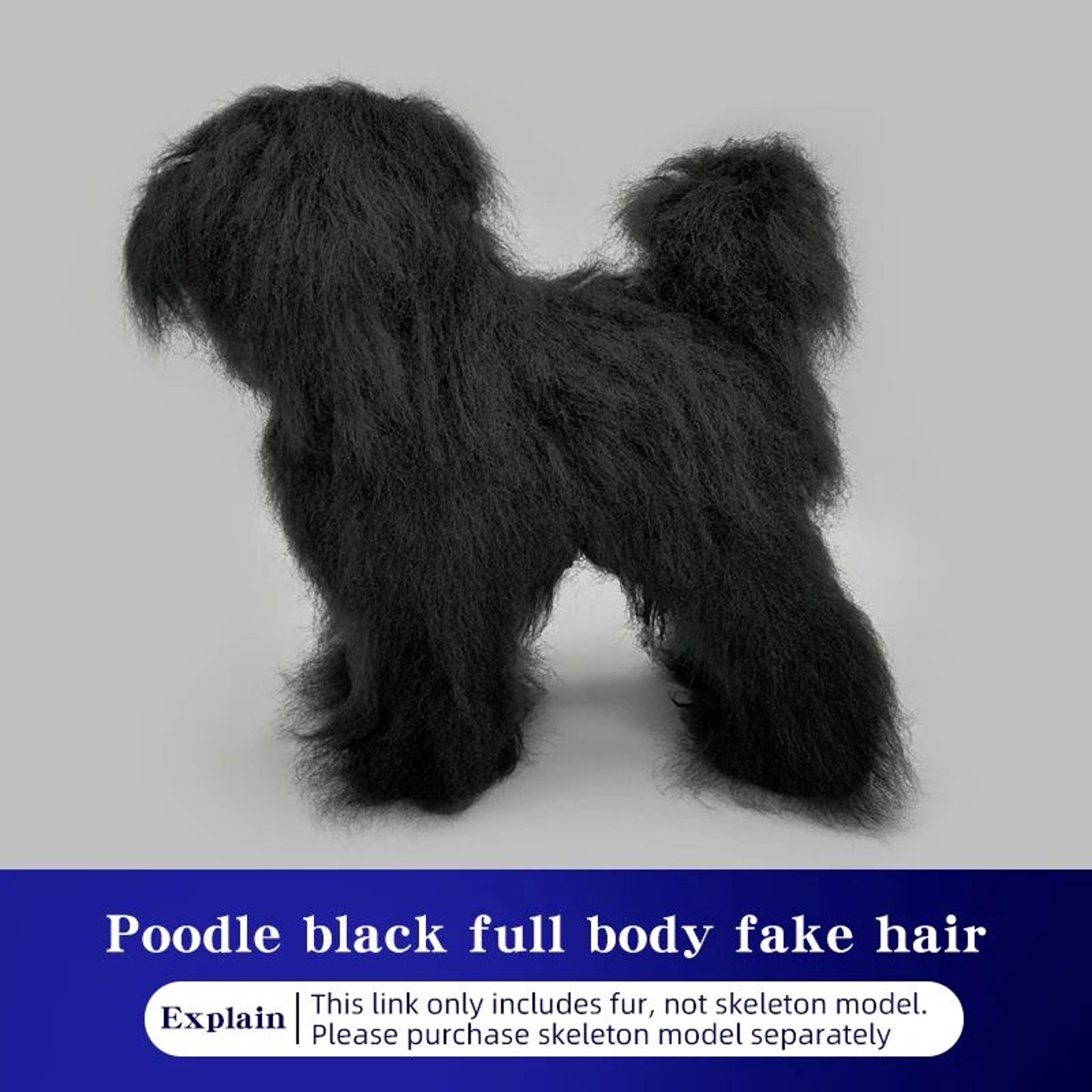 Professional Dog Grooming Practice Model For Poodle Styling Training 6