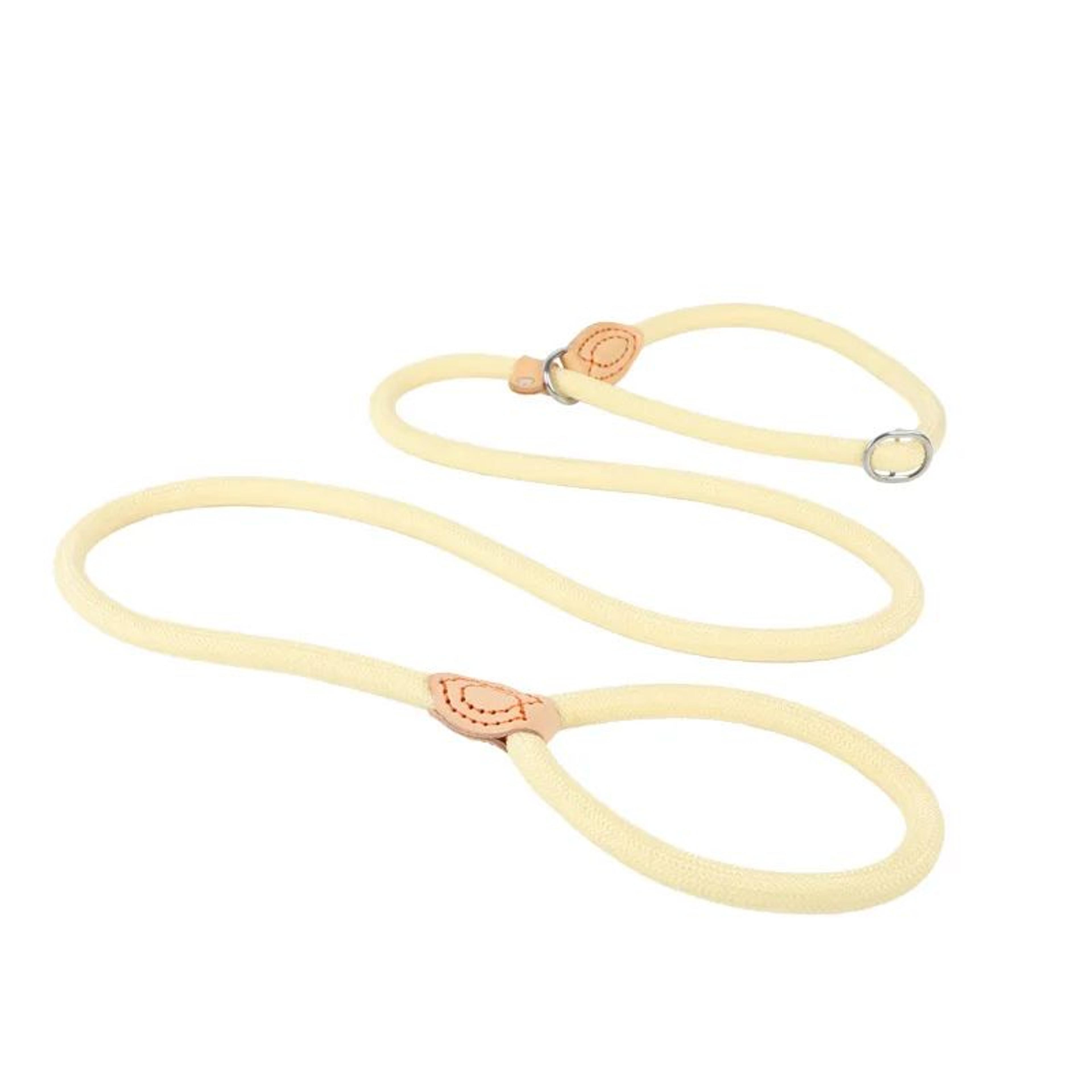 TitanGrip Slip Rope Dog Leash For Medium  Large Dogs  HeavyDuty Braided Dog Training Leash With Adj 10