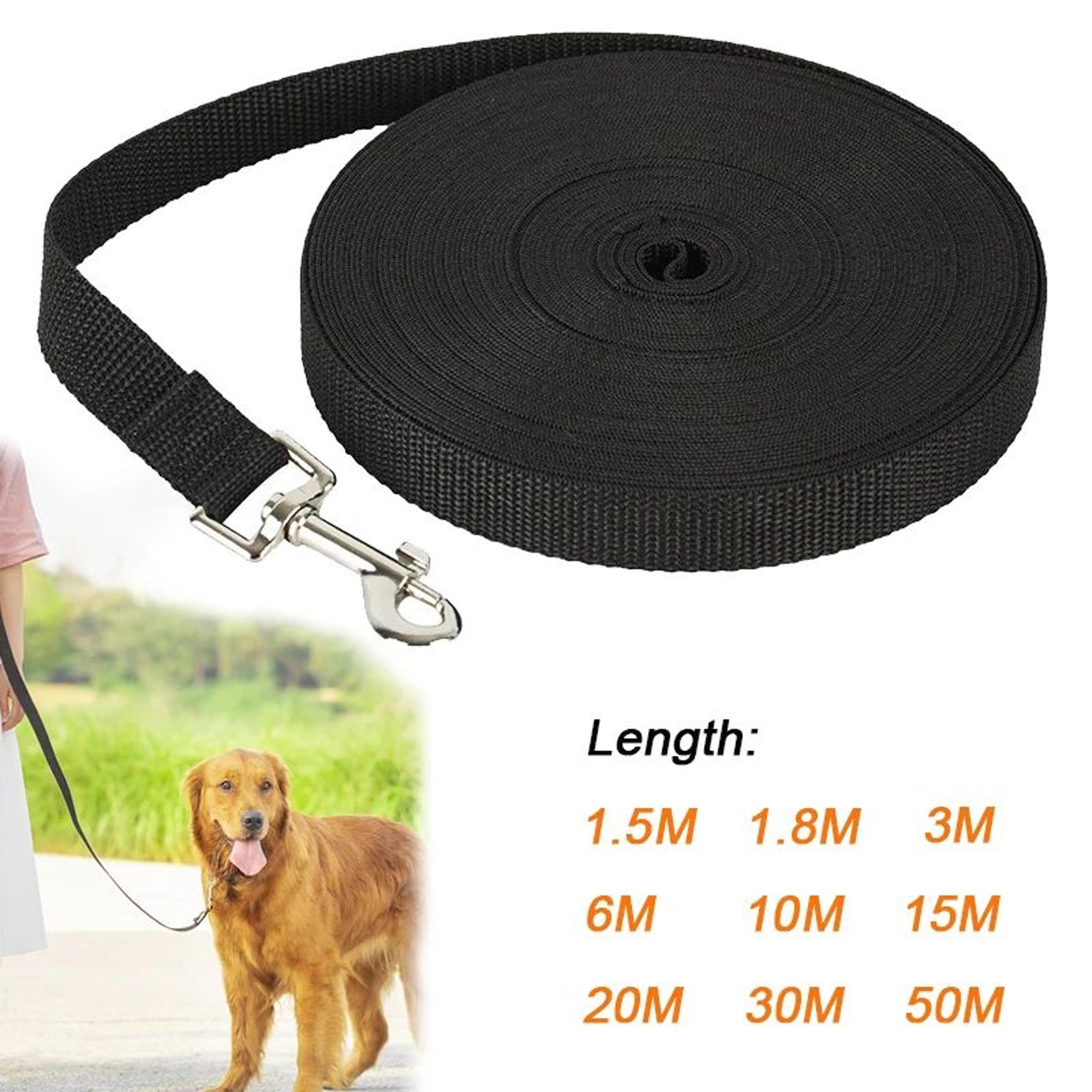 freedomtrail long nylon dog leash for training, walking & outdoor adventures