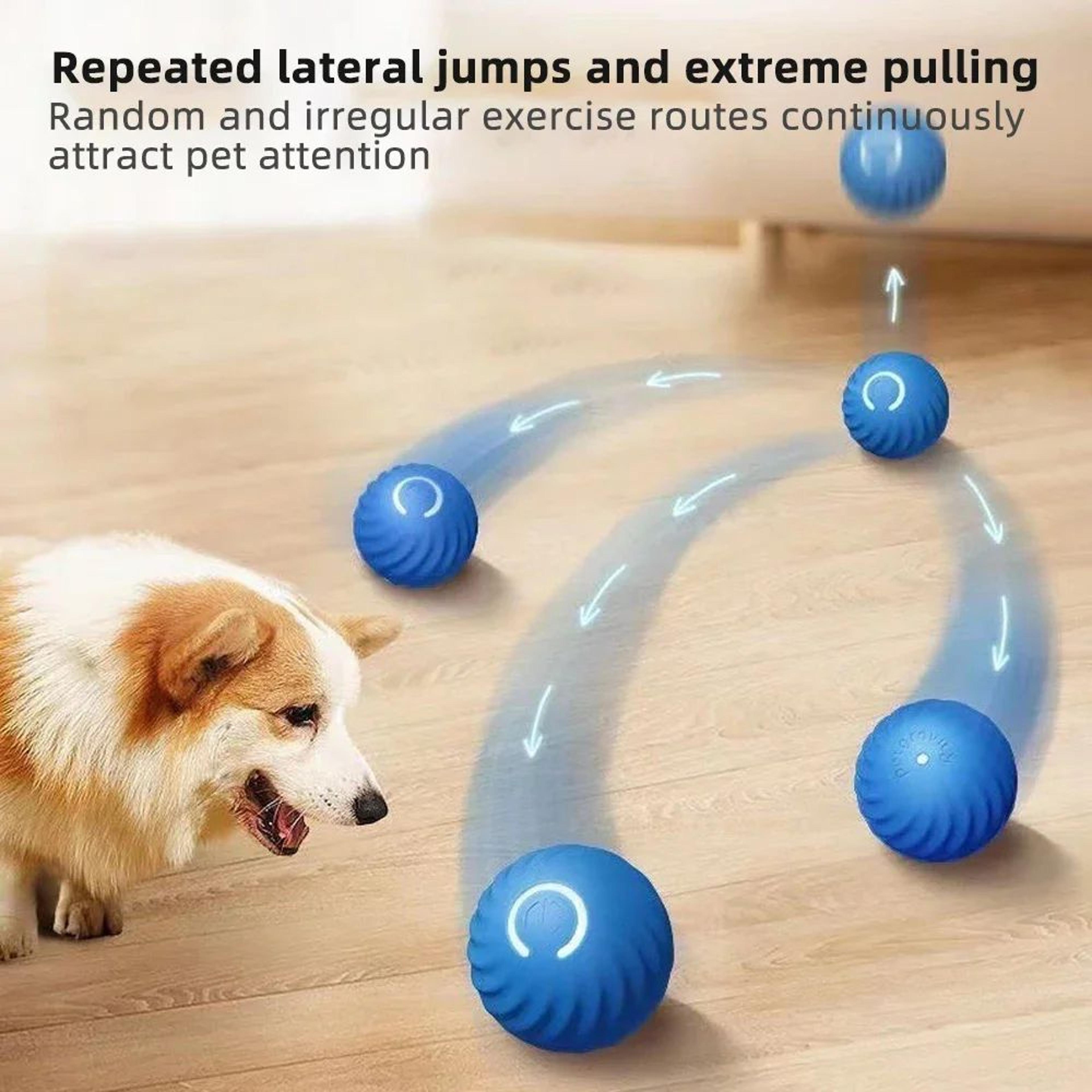 Smart Rolling Pet Ball Interactive Dog And Cat Toy 5