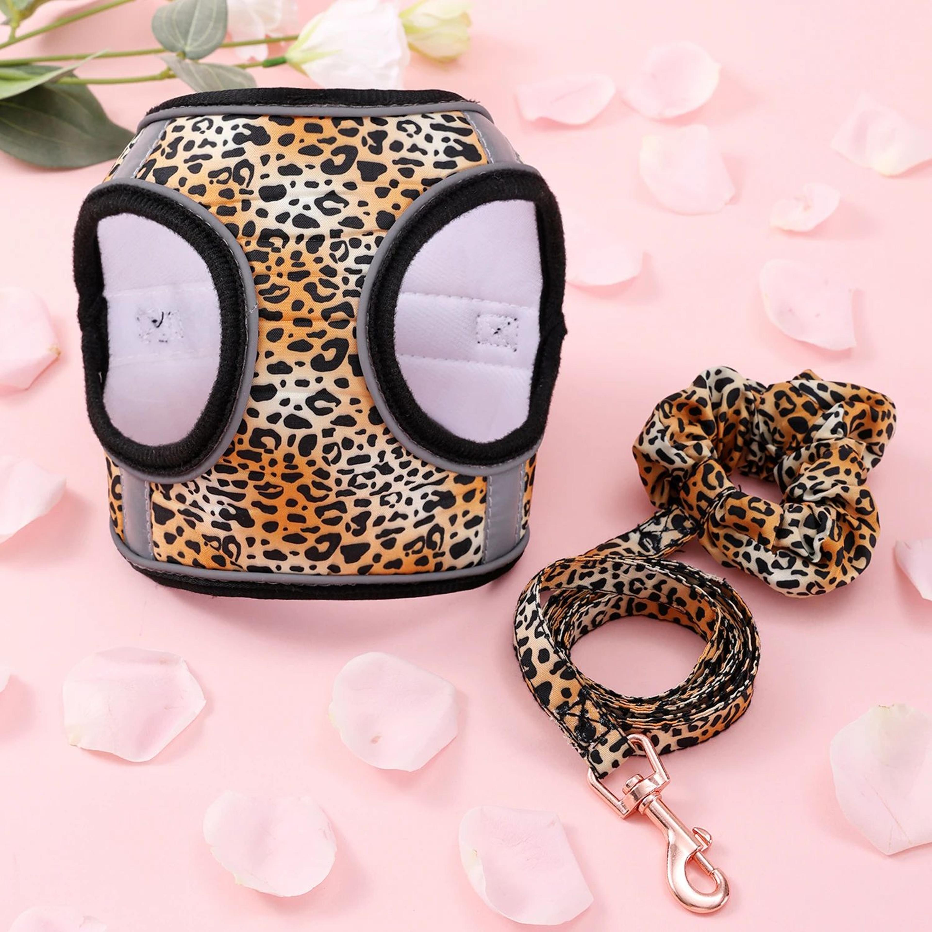 Cozy Soft Small Dog Harness And Leash Set 4